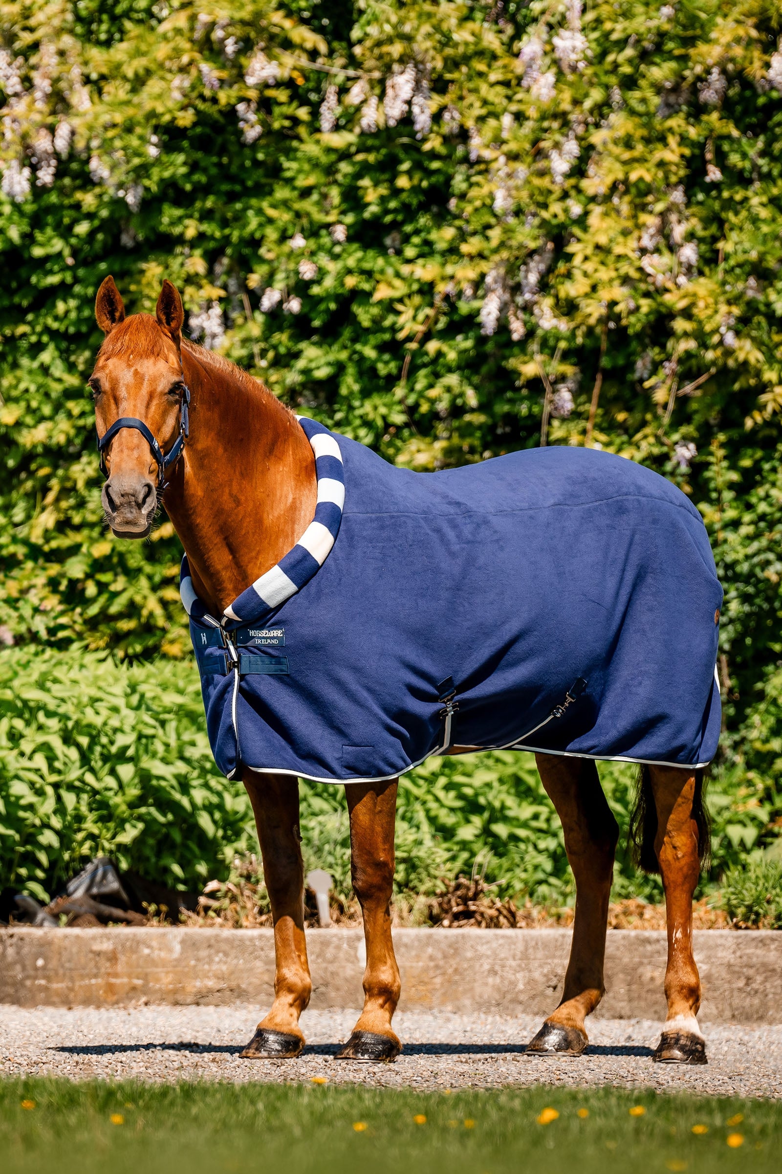 Horseware Newmarket Cosy Fleece Cooler-dekken Dekken