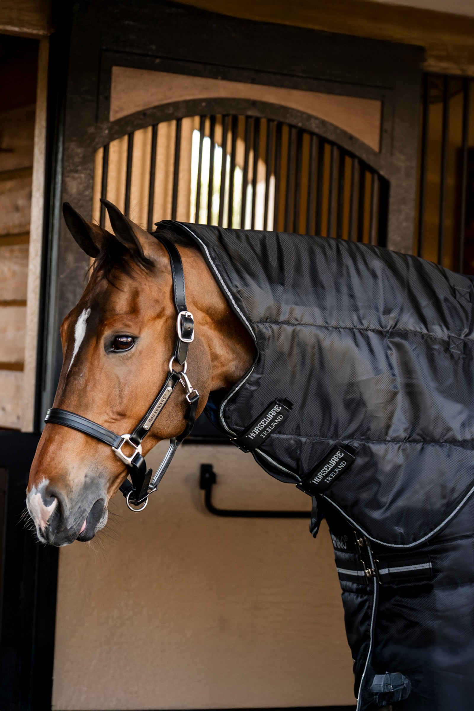 Horseware Amigo Ripstop Insulator Plus stalldekken, 350 g Dekken