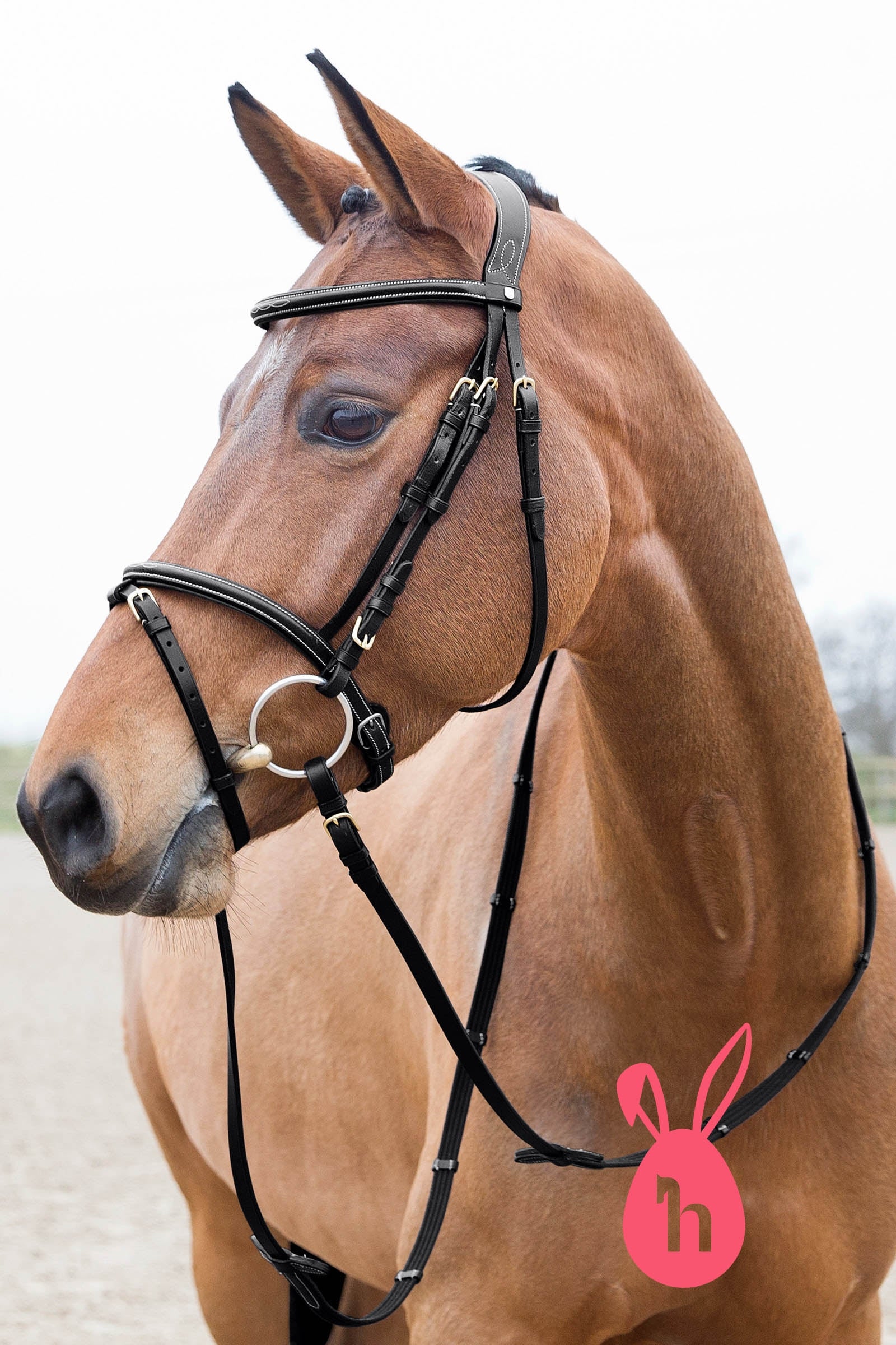 Horze Constance Padded Flash Bridle Bridles & Reins