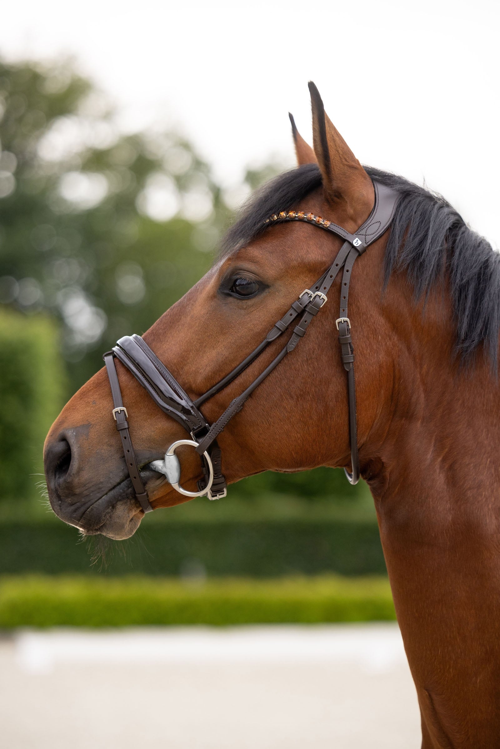 Horze Clermont Anatomic Bridle Bridles & Reins