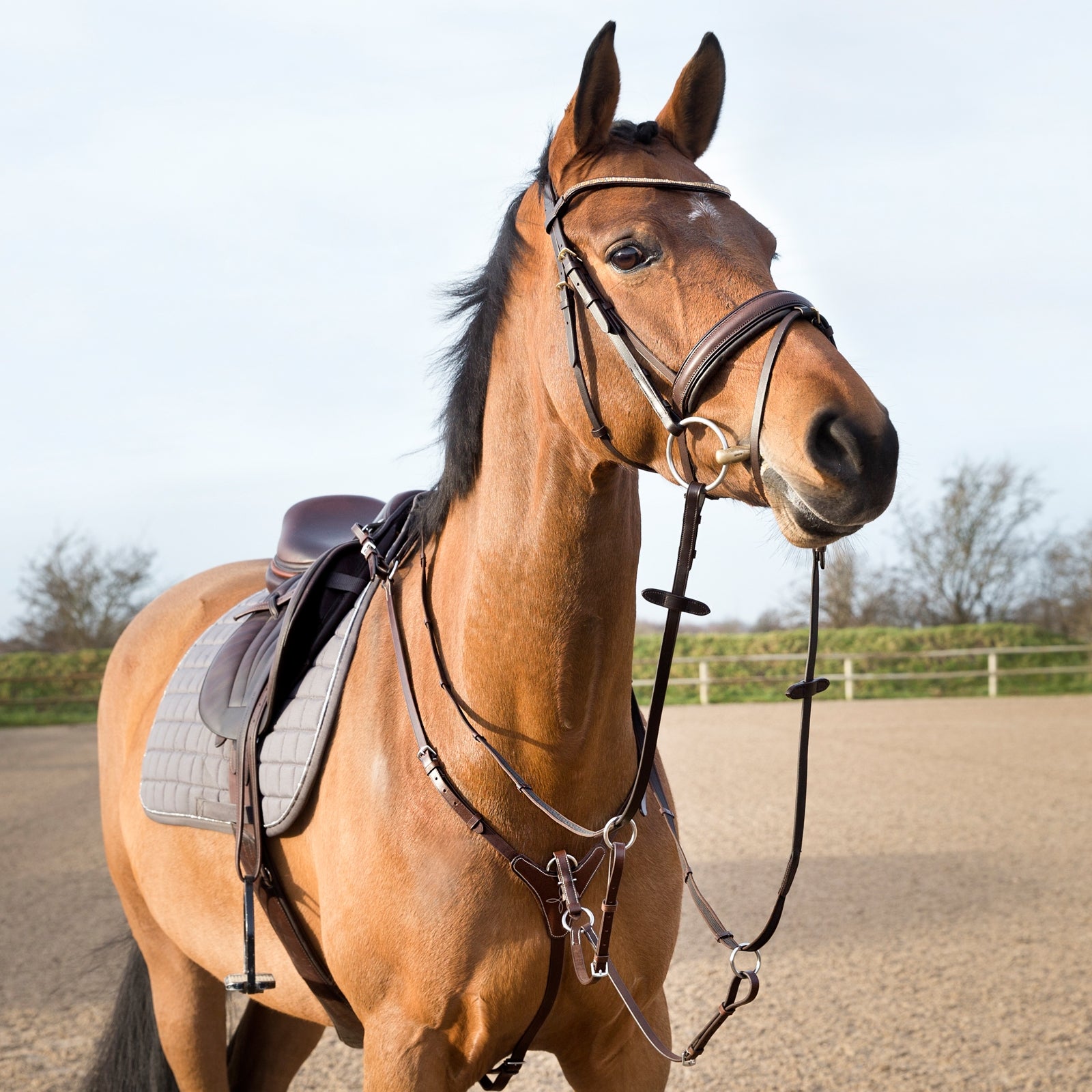 Horze Adjustable Hunting Breastplate Bridles & Reins