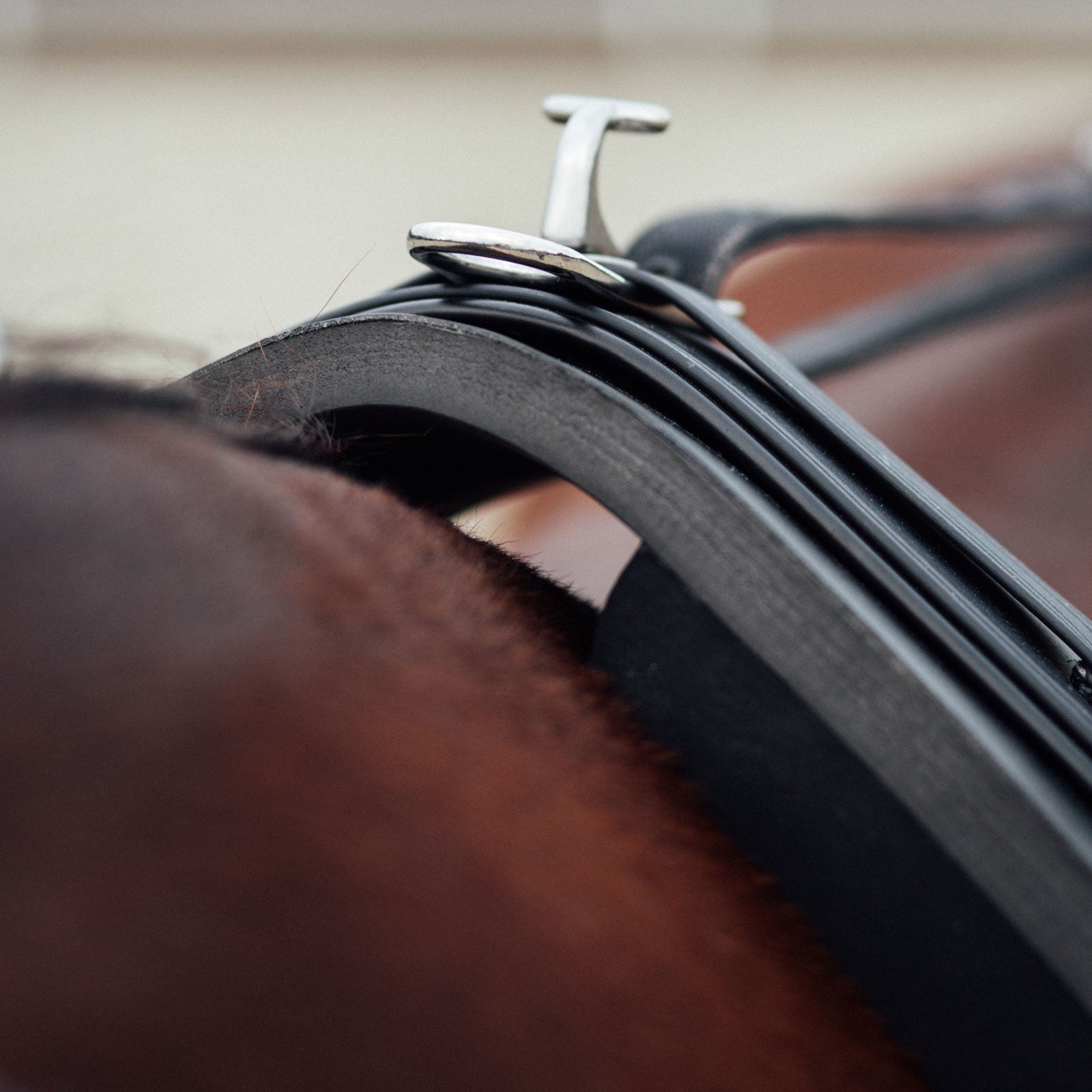 Finntack Elite Synthetic Training Saddle with pad Racing Tack