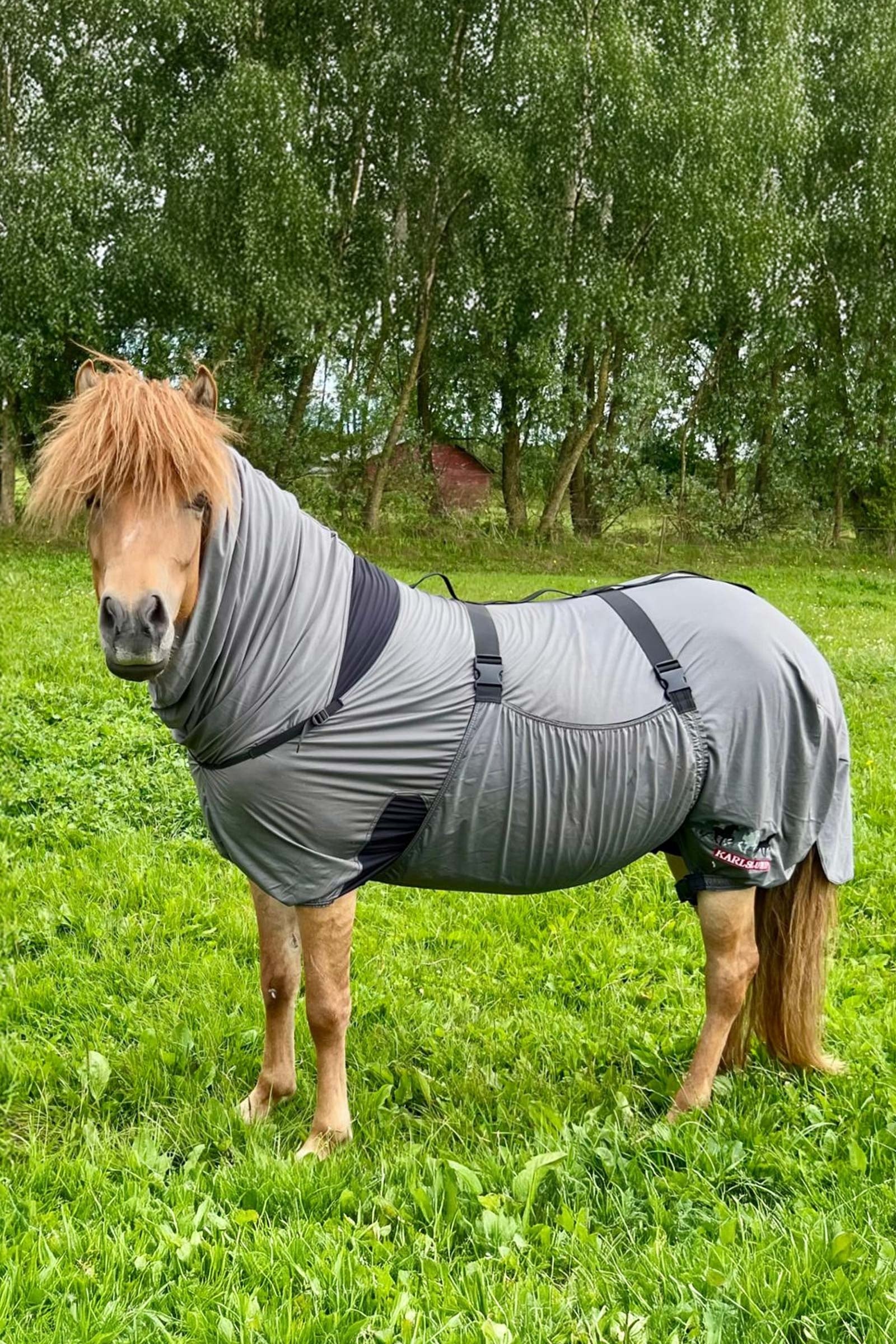 Karlslund Matti Eczema Rug with Fixed Neck, 0g Horse Rugs