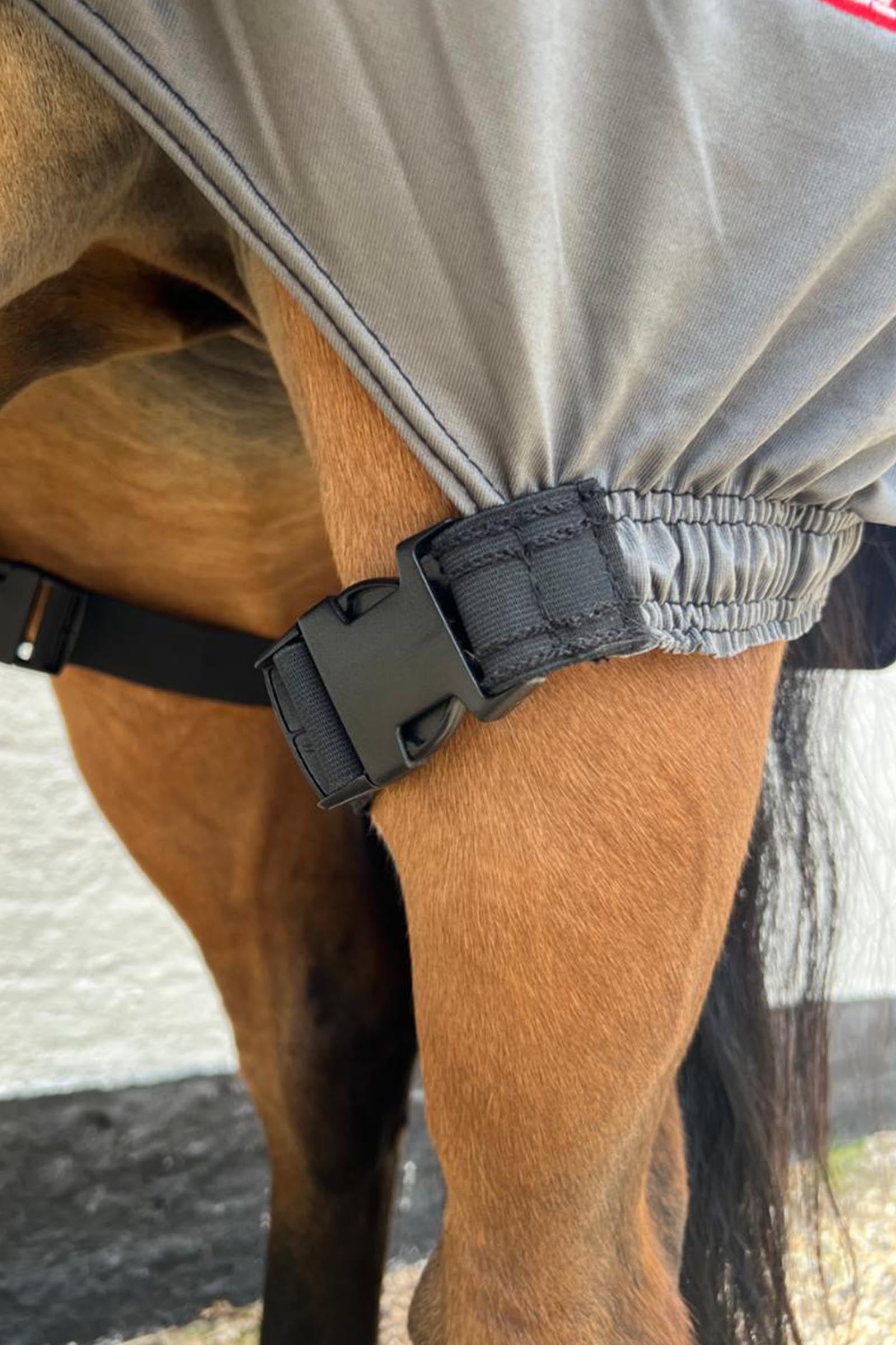 Karlslund Matti Eczema Rug with Fixed Neck, 0g Horse Rugs