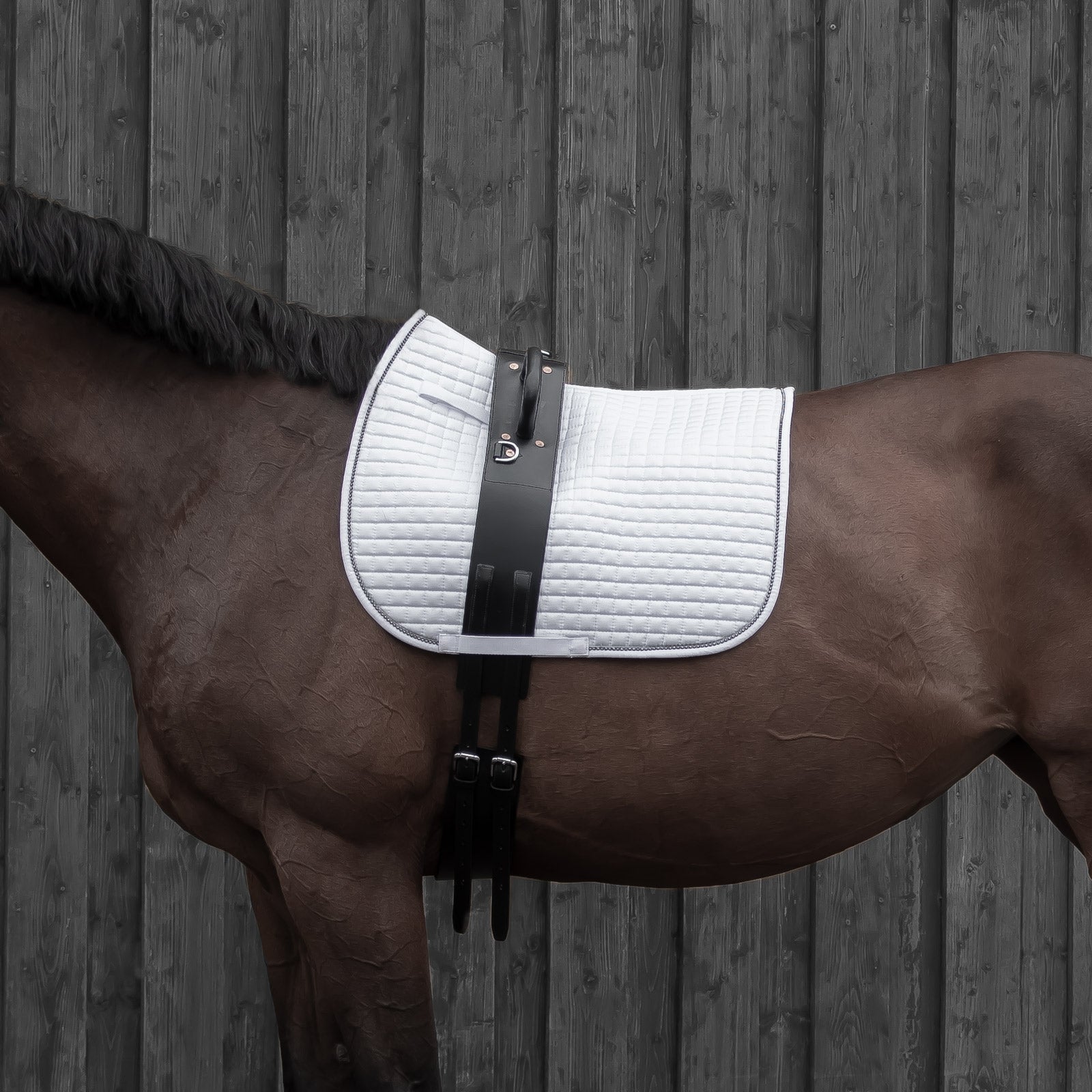 Horze Voltige Girth Horse Training
