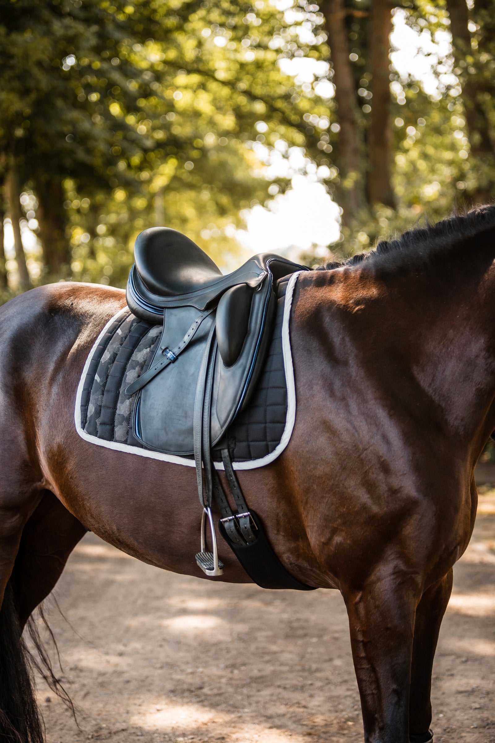 Horze Luminox Reflective Saddle Pad Saddle Pads