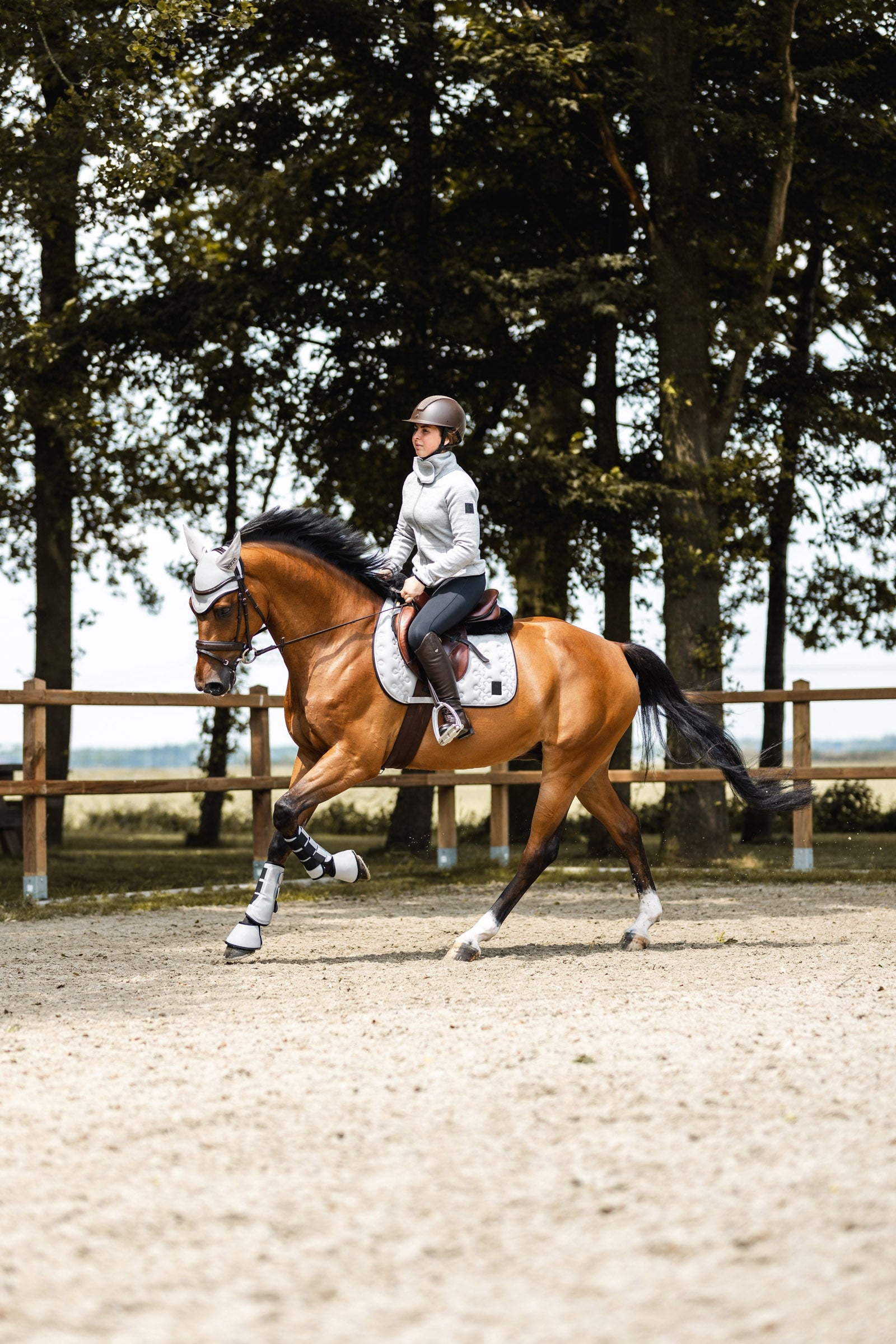 Horze Smoky Twilight Jumping Saddle Pad Saddle Pads