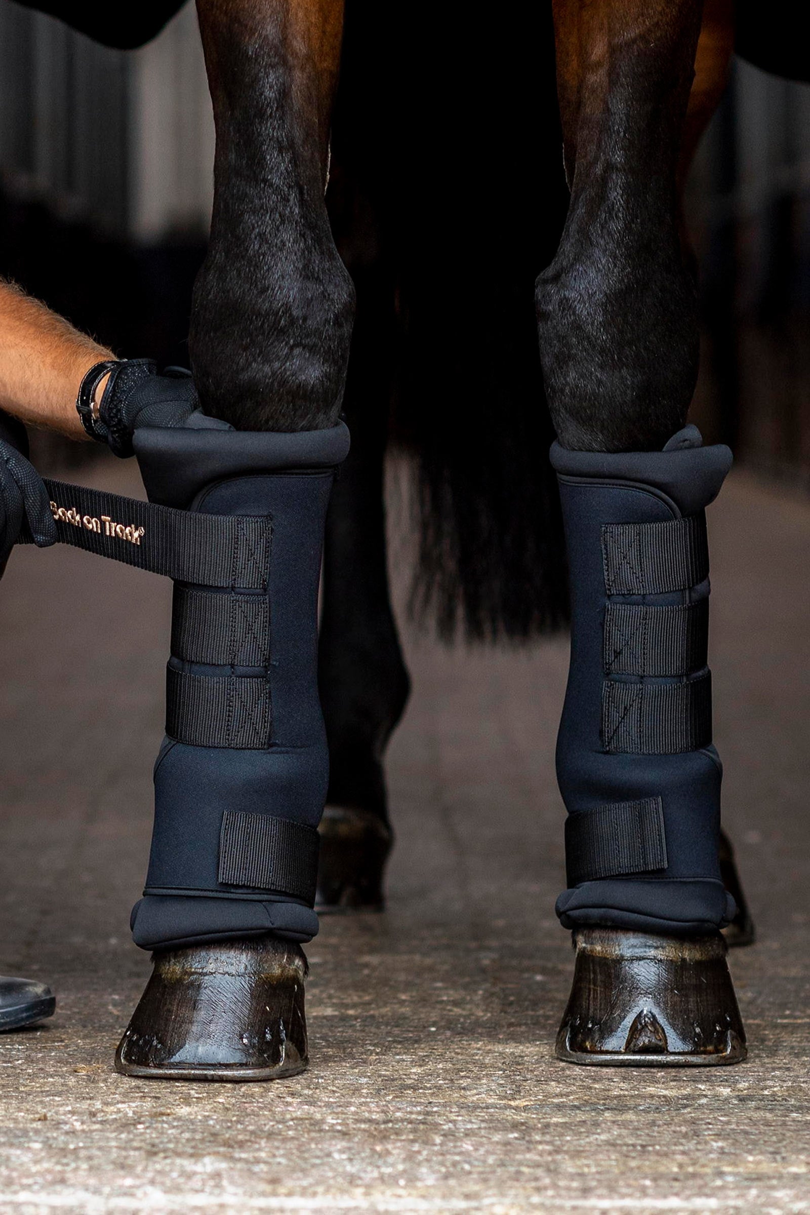 Back on Track Back On Track Quick Royal Leg Wraps Leg Protection & Hoof Protection for Horses