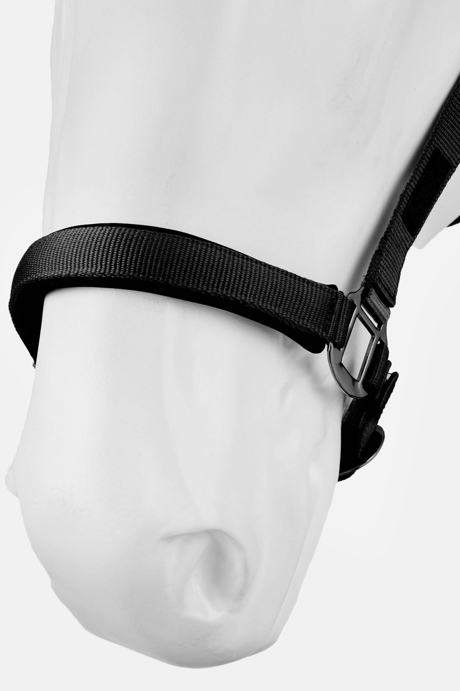 Horze Milan halter Halters & Leads
