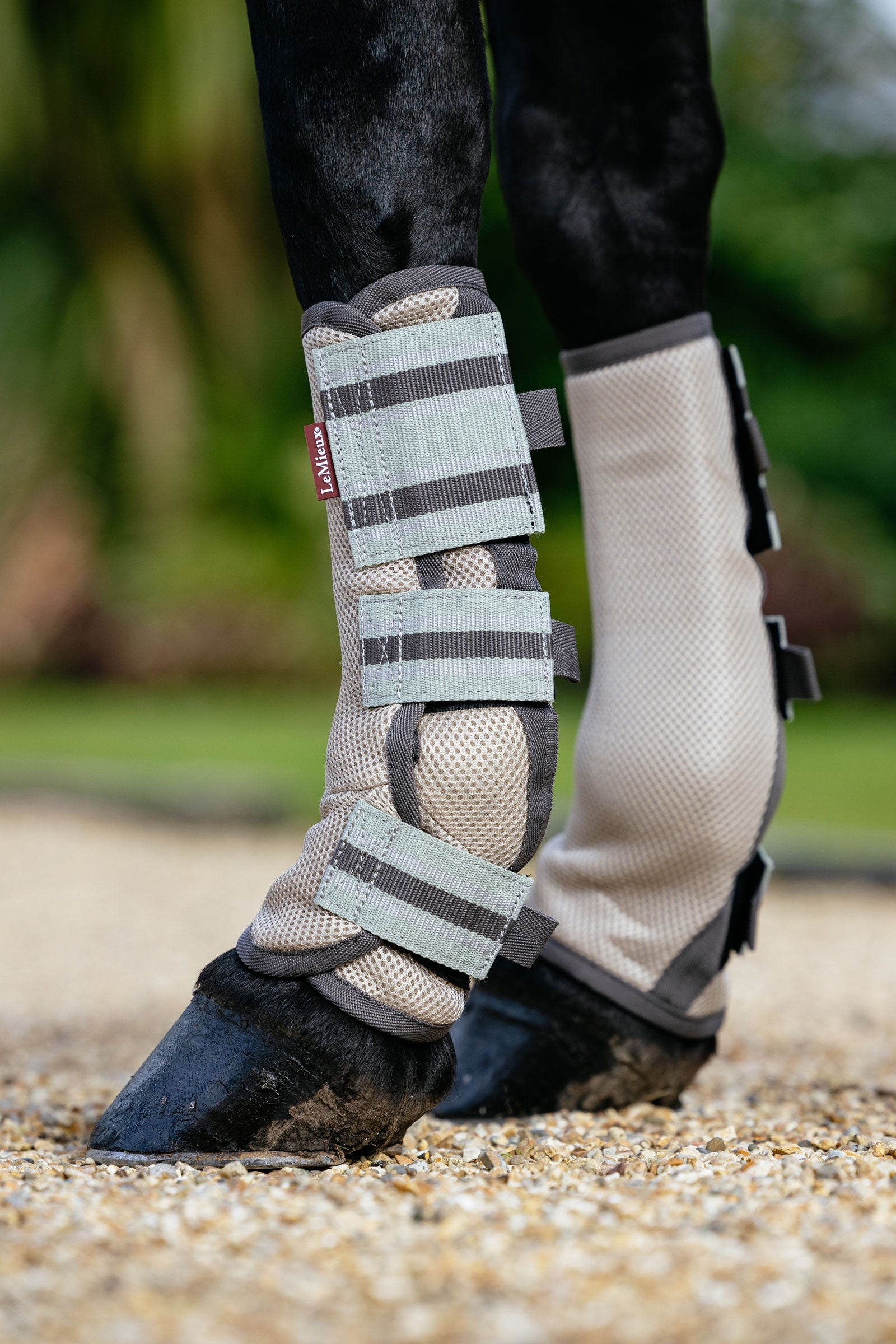 LeMieux Arika mesh fluegamacher sett 4 stk Fluebeskyttelse til hest