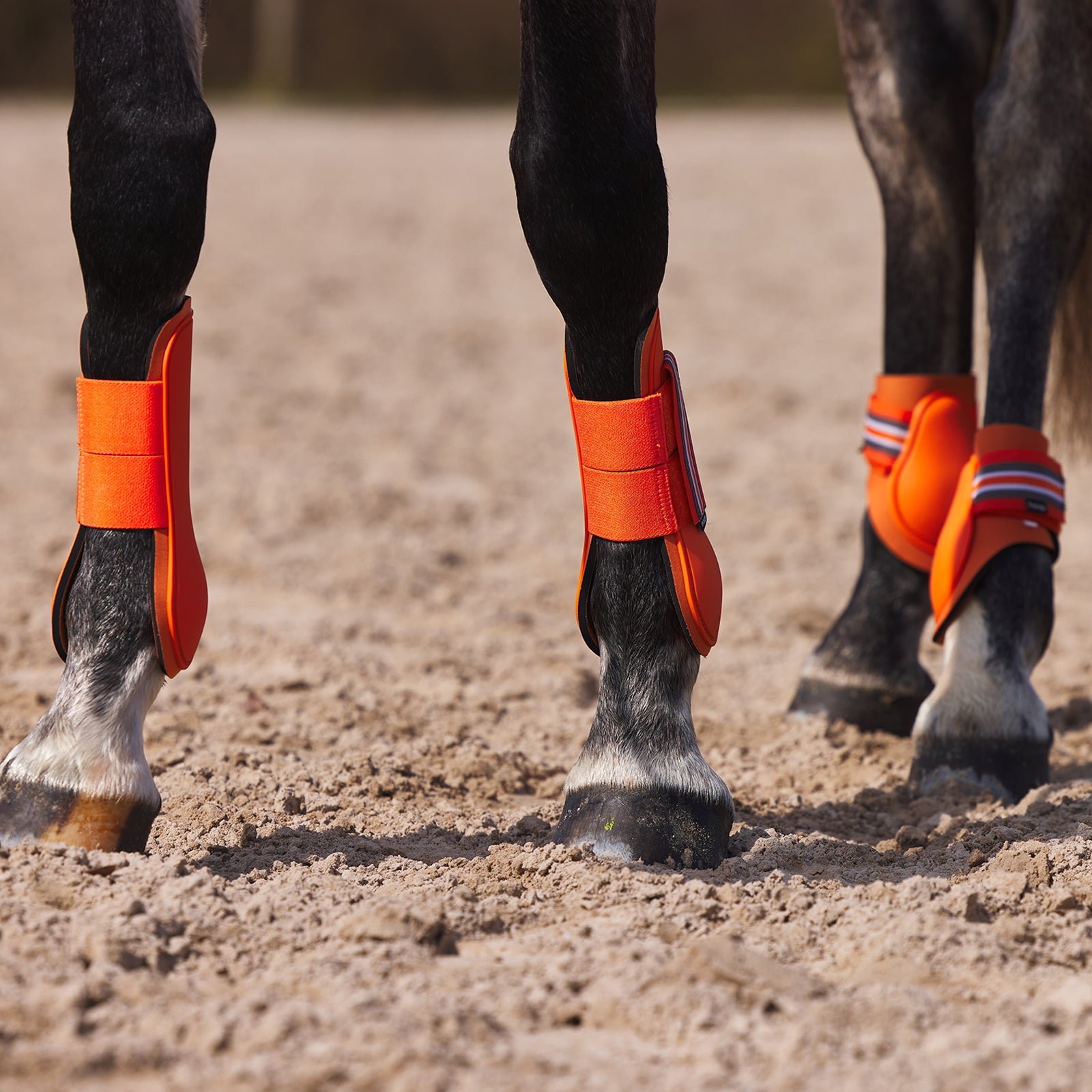 Horze Adepto Tendon Boots Leg Protection & Hoof Protection for Horses
