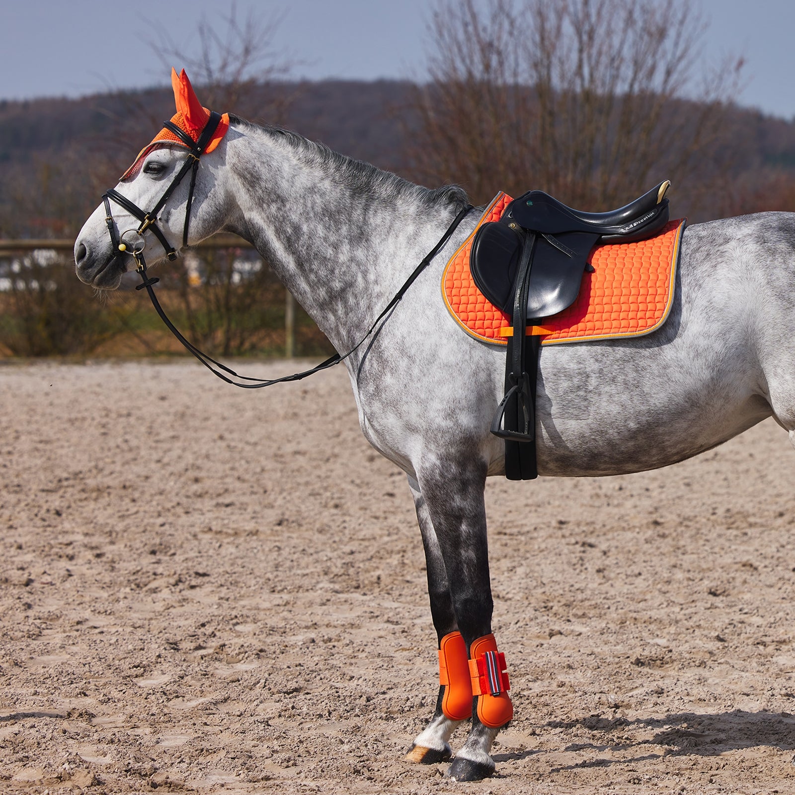 Horze Adepto Tendon Boots Leg Protection & Hoof Protection for Horses