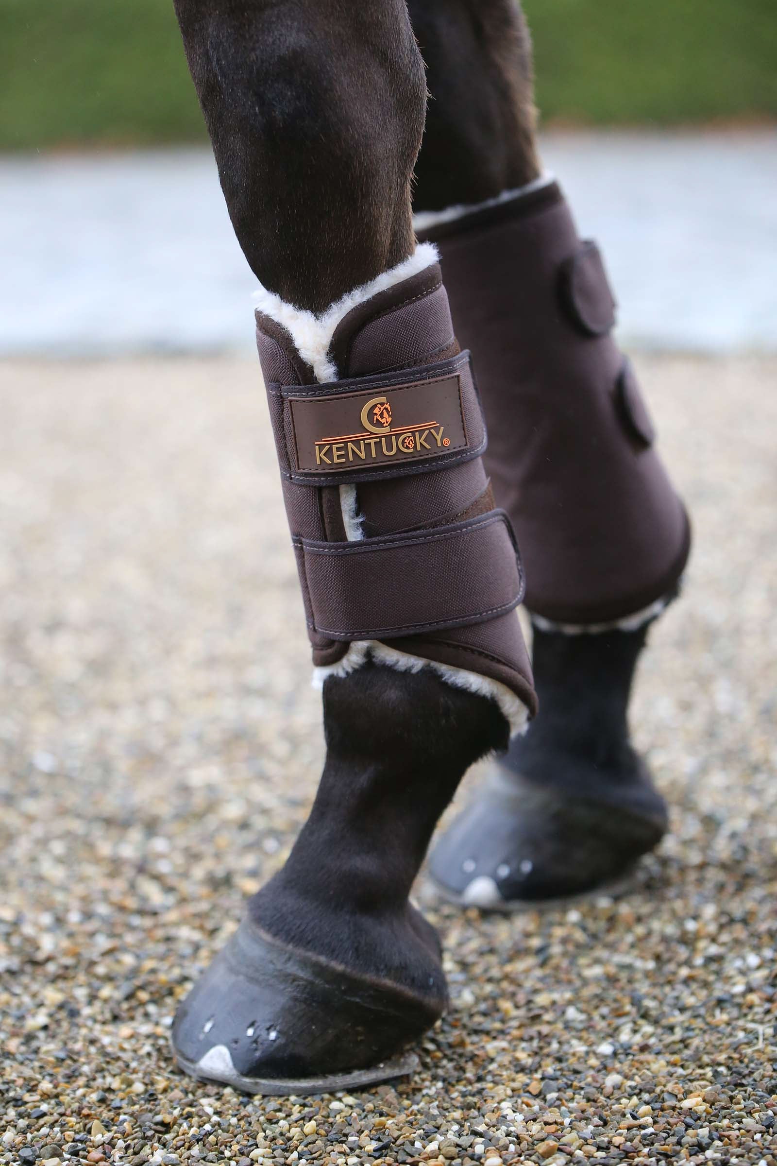 Kentucky Horsewear Solimbra Turnout belegg, forbein Leg & Hoof Protection