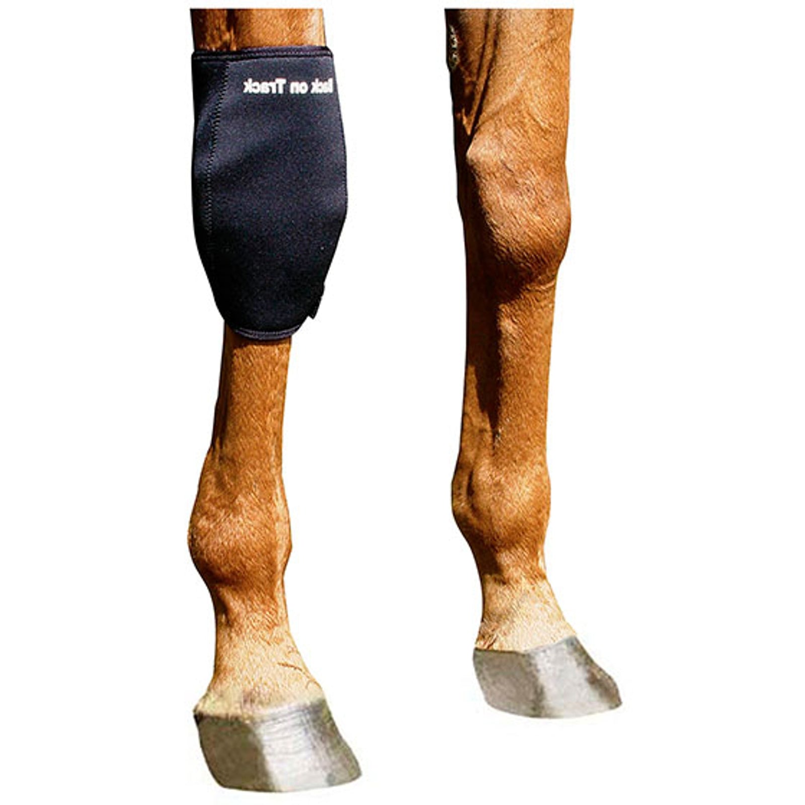 Back on Track Back On Track knebelegg, høyre Leg Protection & Hoof Protection for Horses
