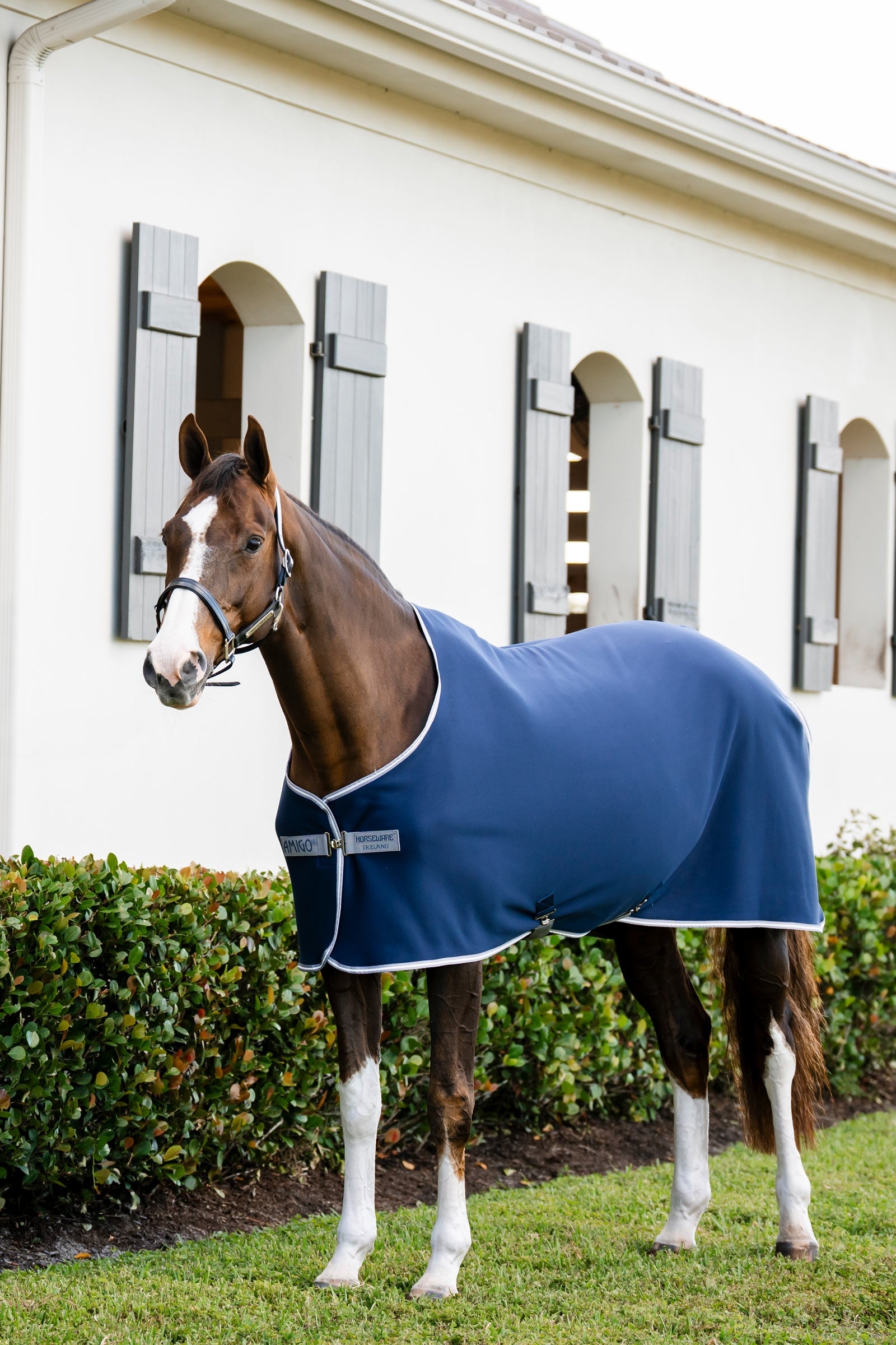 Horseware Amigo jersey svettedekken Dekken