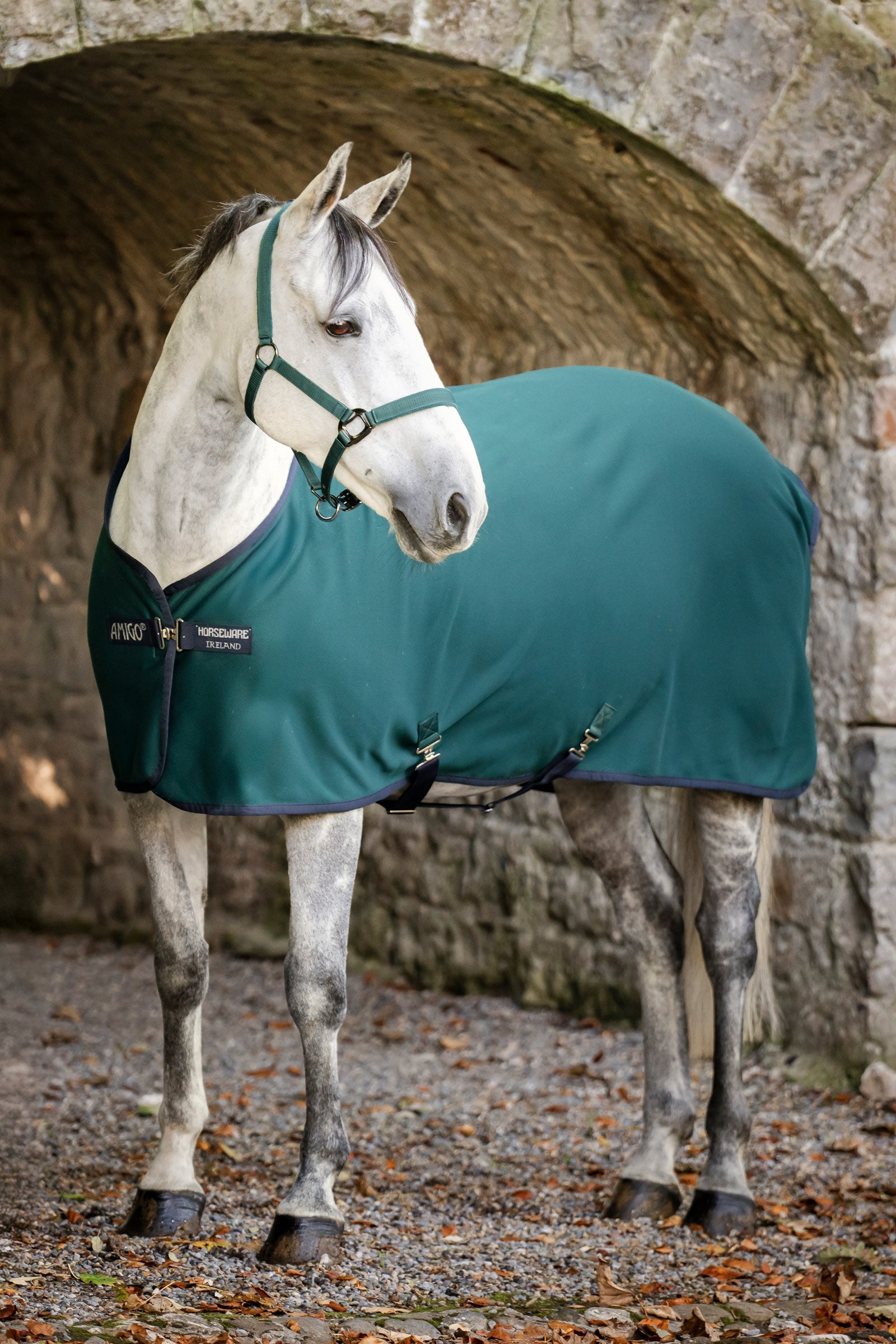 Horseware Amigo jersey svettedekken Dekken