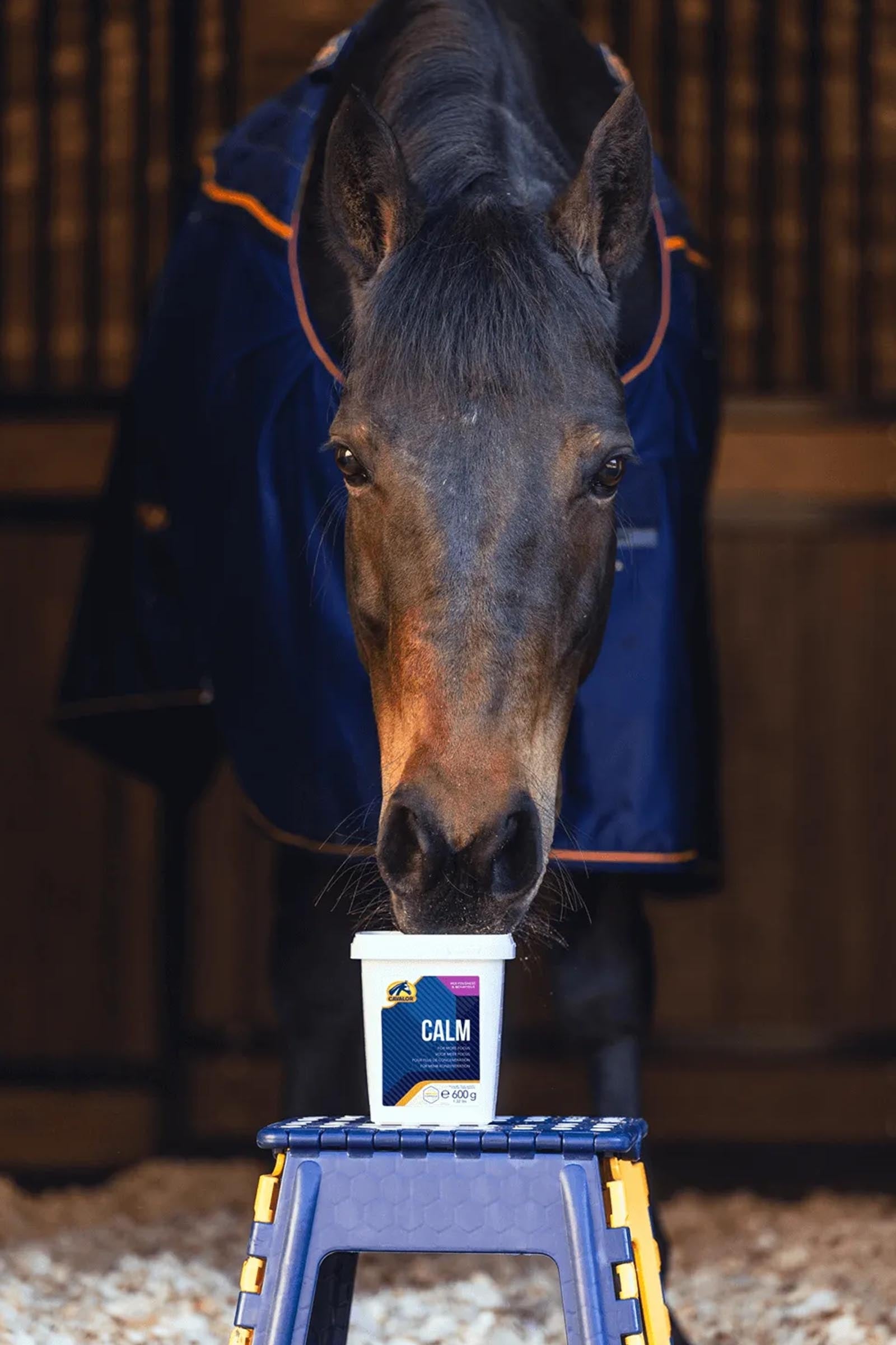 Cavalor Calm, Focus & Relax, 600 g Horse Feed & Nutrition