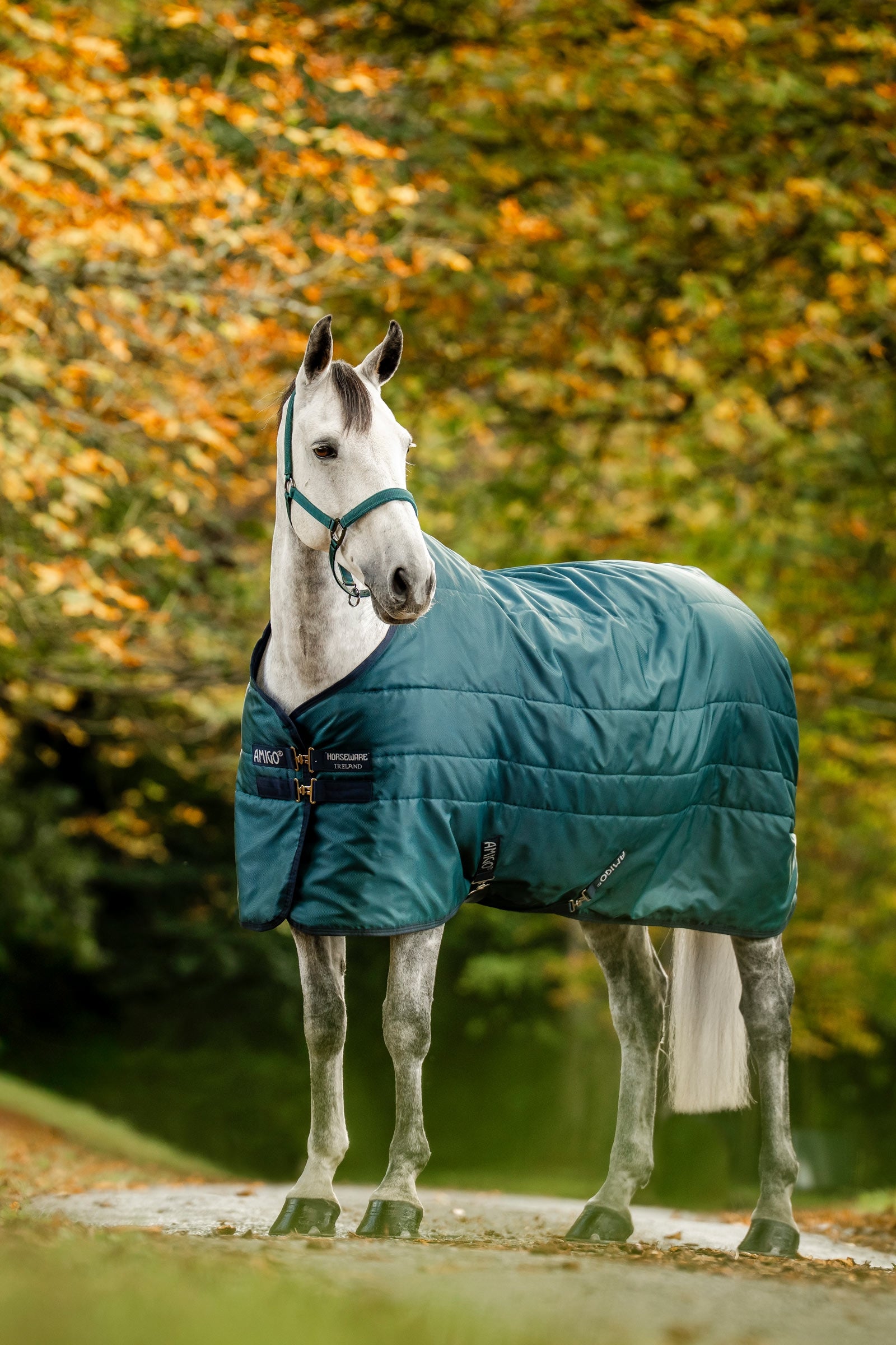 Horseware Amigo Ripstop stalldekken med fyll, 350 g Dekken