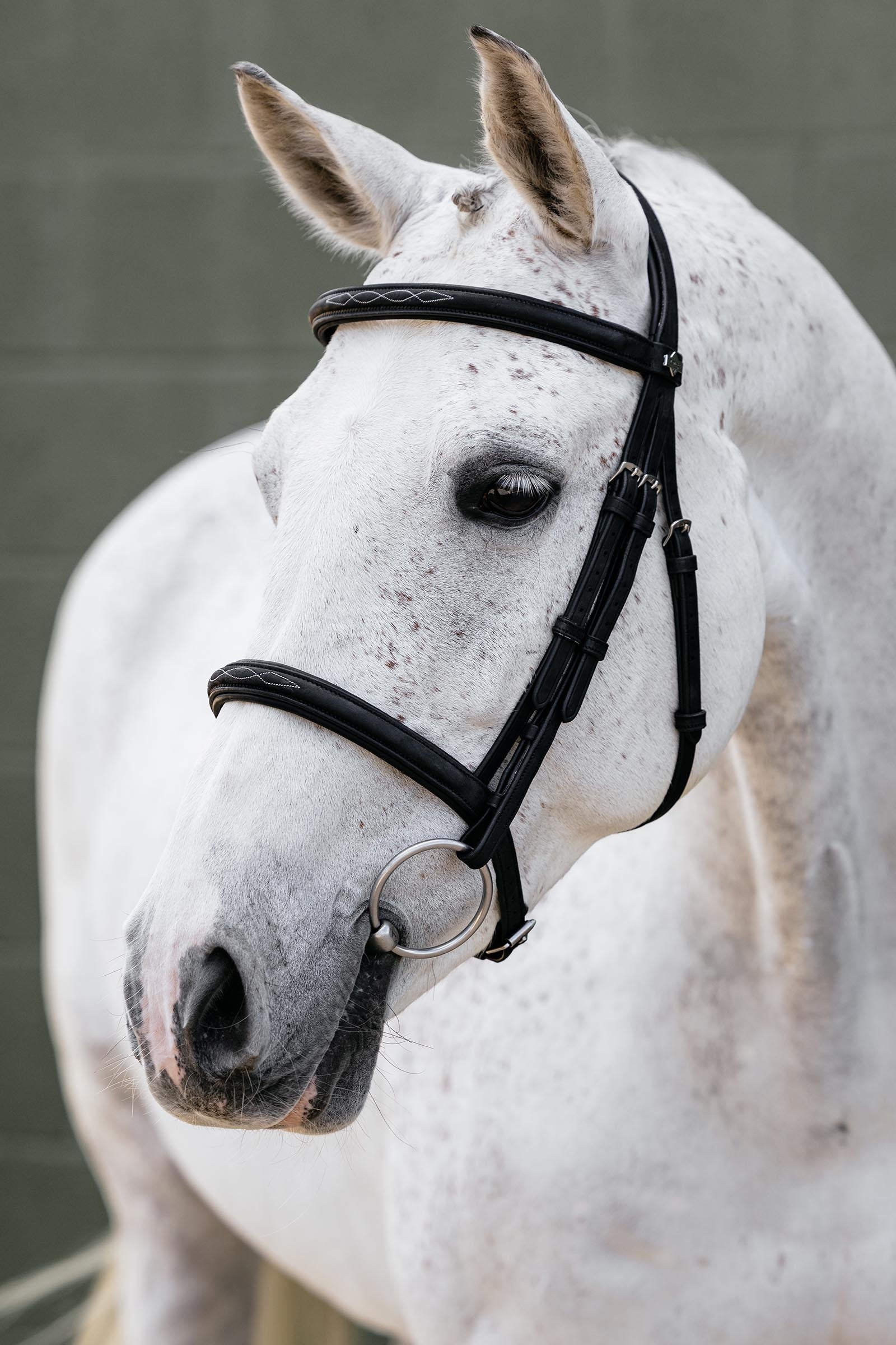 LeMieux Classique Cavesson Bridle Horse Training