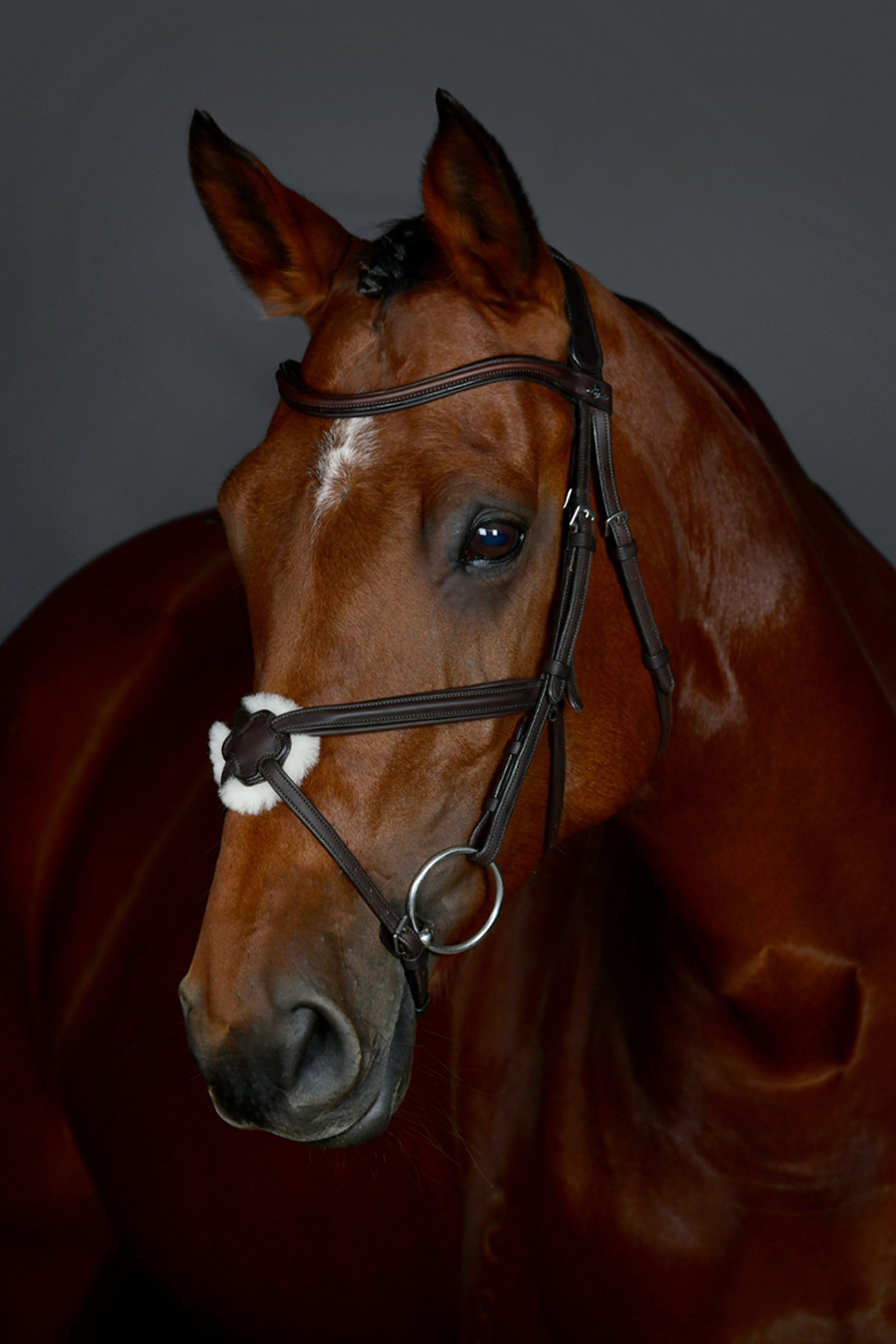 Collegiate Comfitec Opulux enkel, polstret hodelag med mexikansk nesereim Hodelag & Tøyler