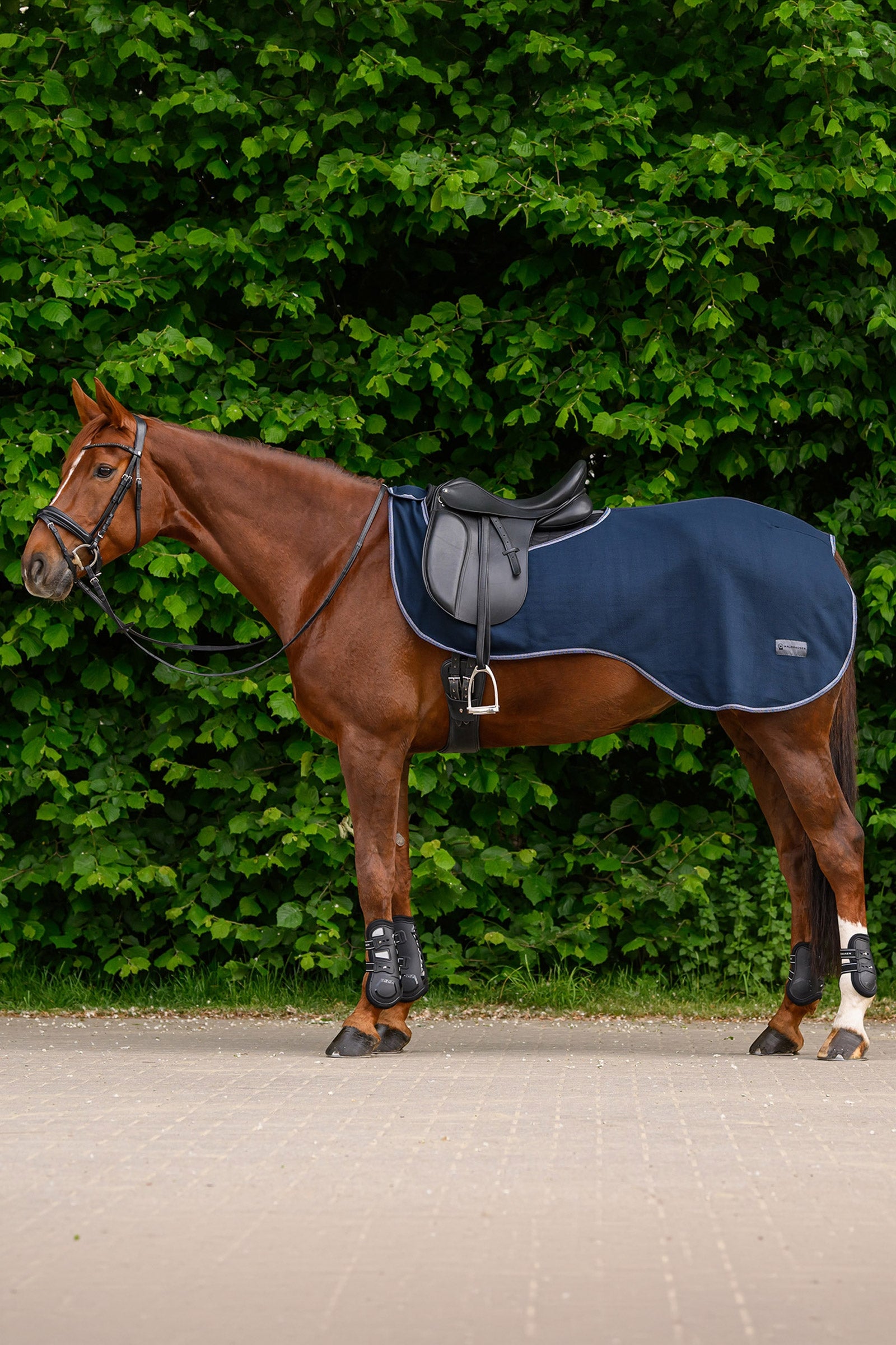 Waldhausen ECONOMIC fleece rideteppe Dekken