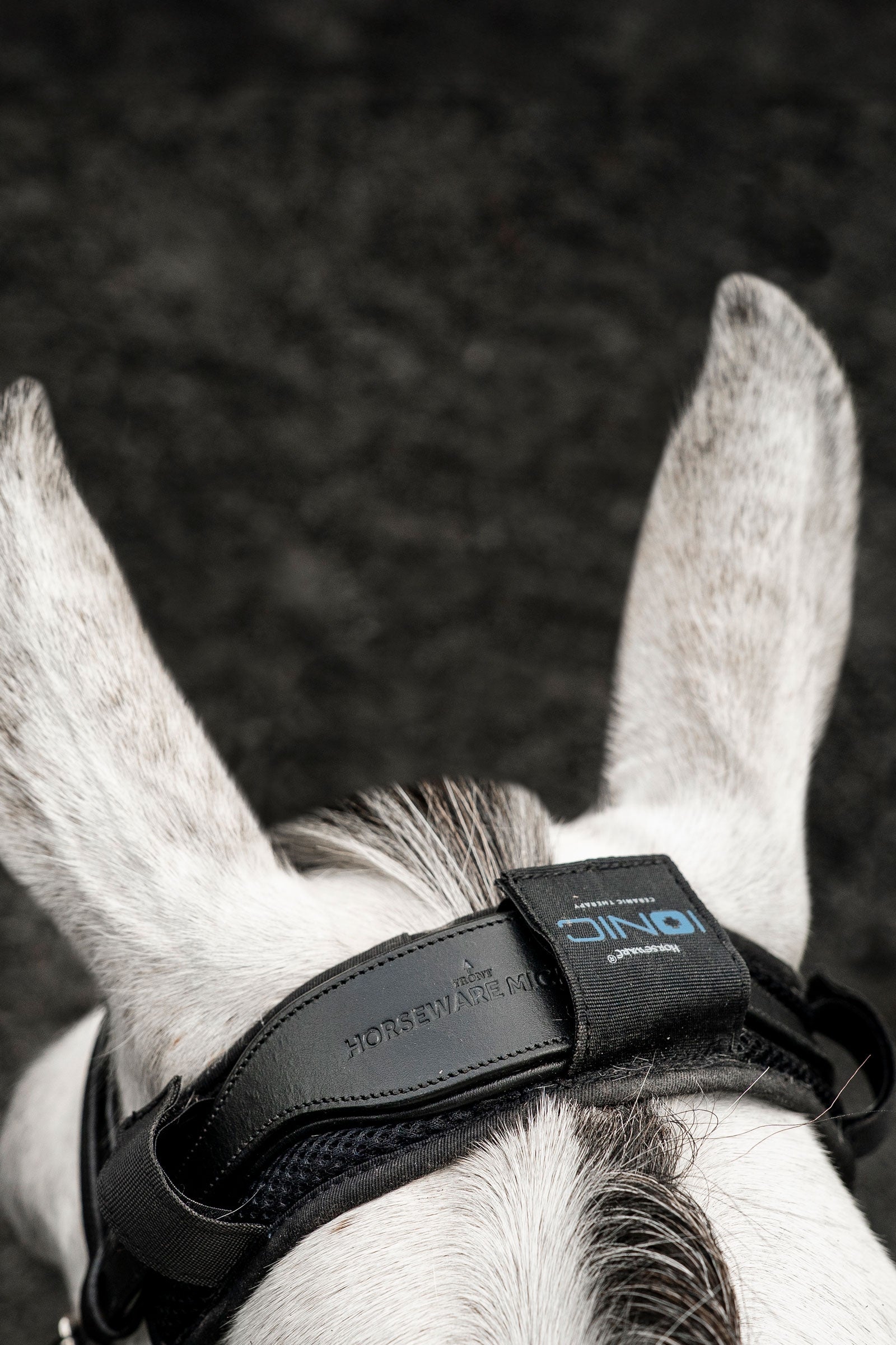 Horseware Ionic nakkebeskytter Fluebeskyttelse til hest