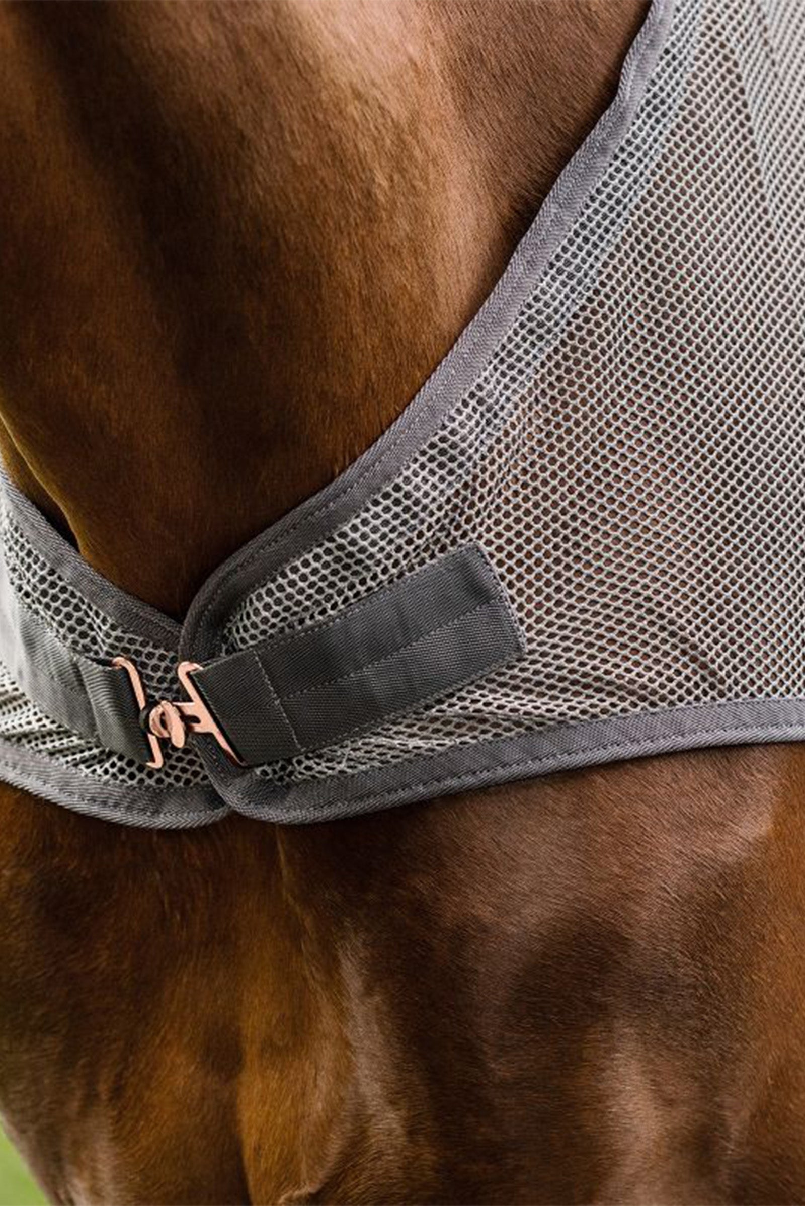 Waldhausen Comfort Fly-Horse Walker Rug Horse Rugs