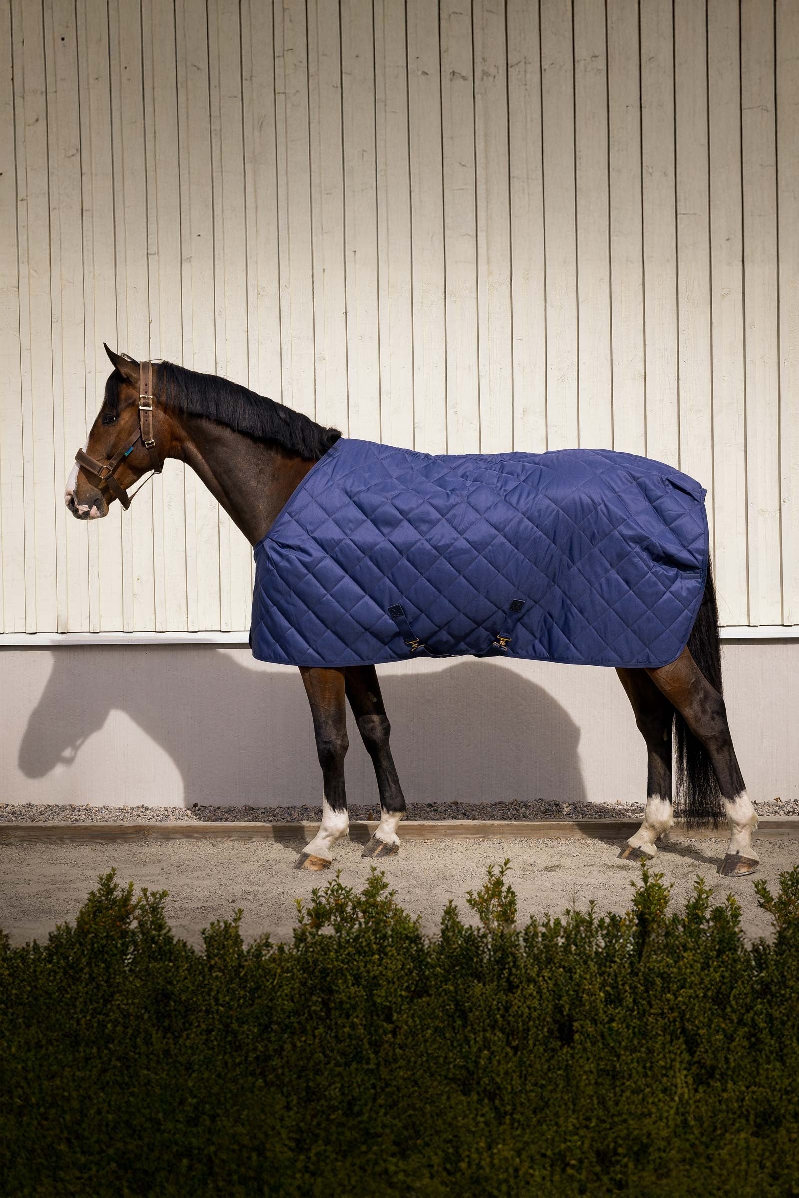 Bucas Cosy Stable Rug Dekken