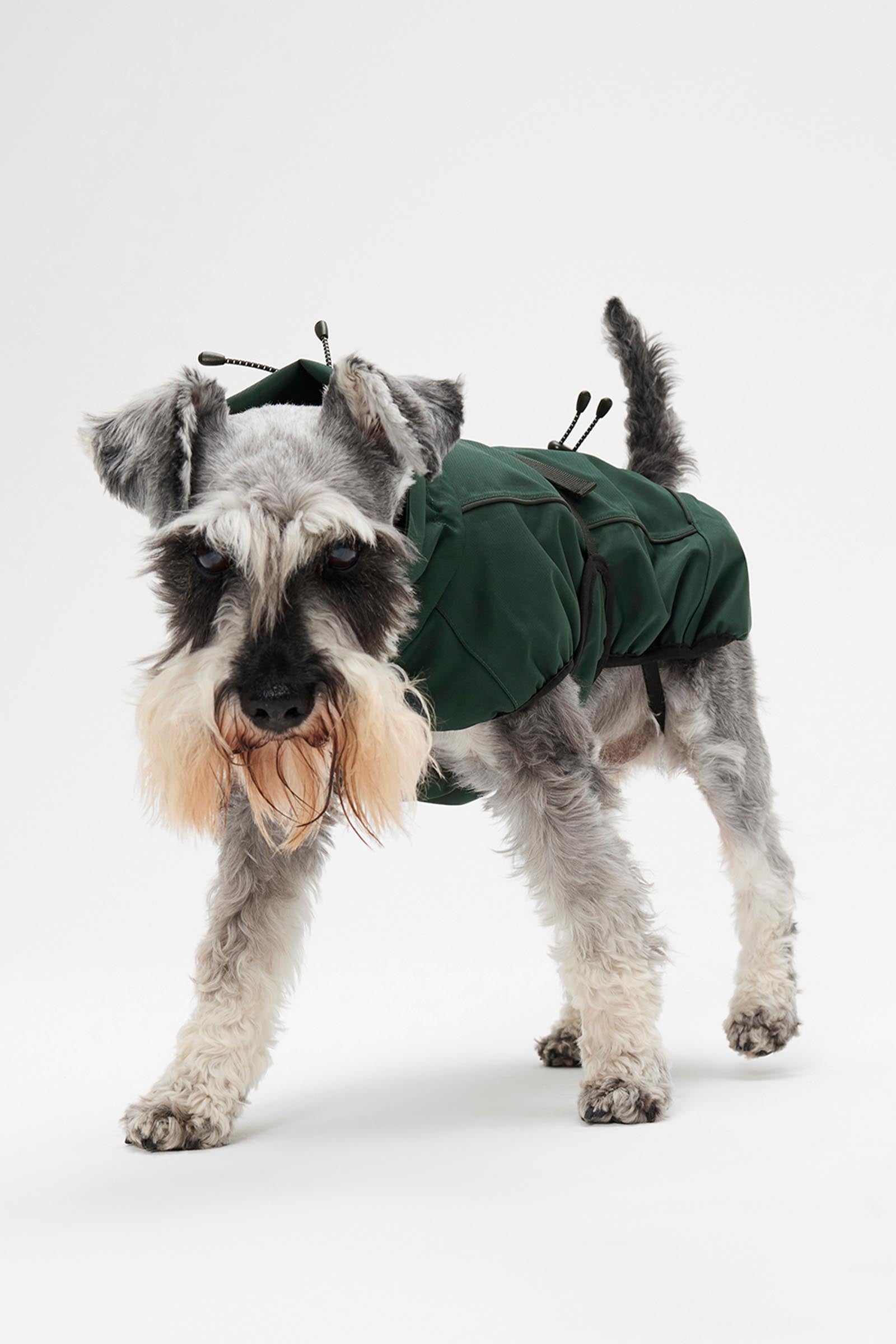 Mountain Horse Grace Dog Jacket Dog Accesories