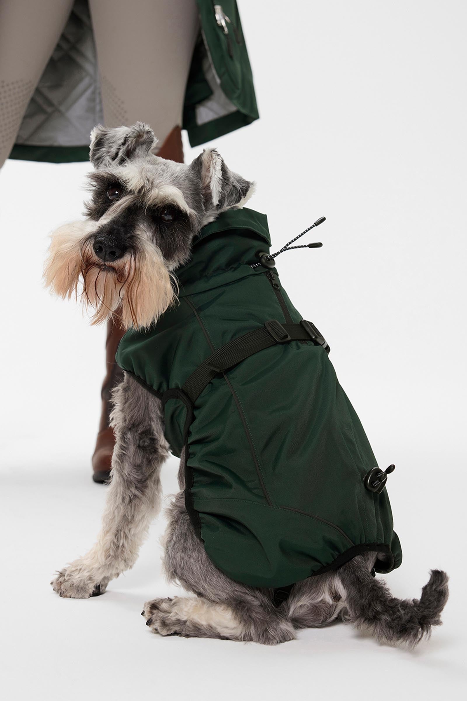 Mountain Horse Grace Dog Jacket Dog Accesories
