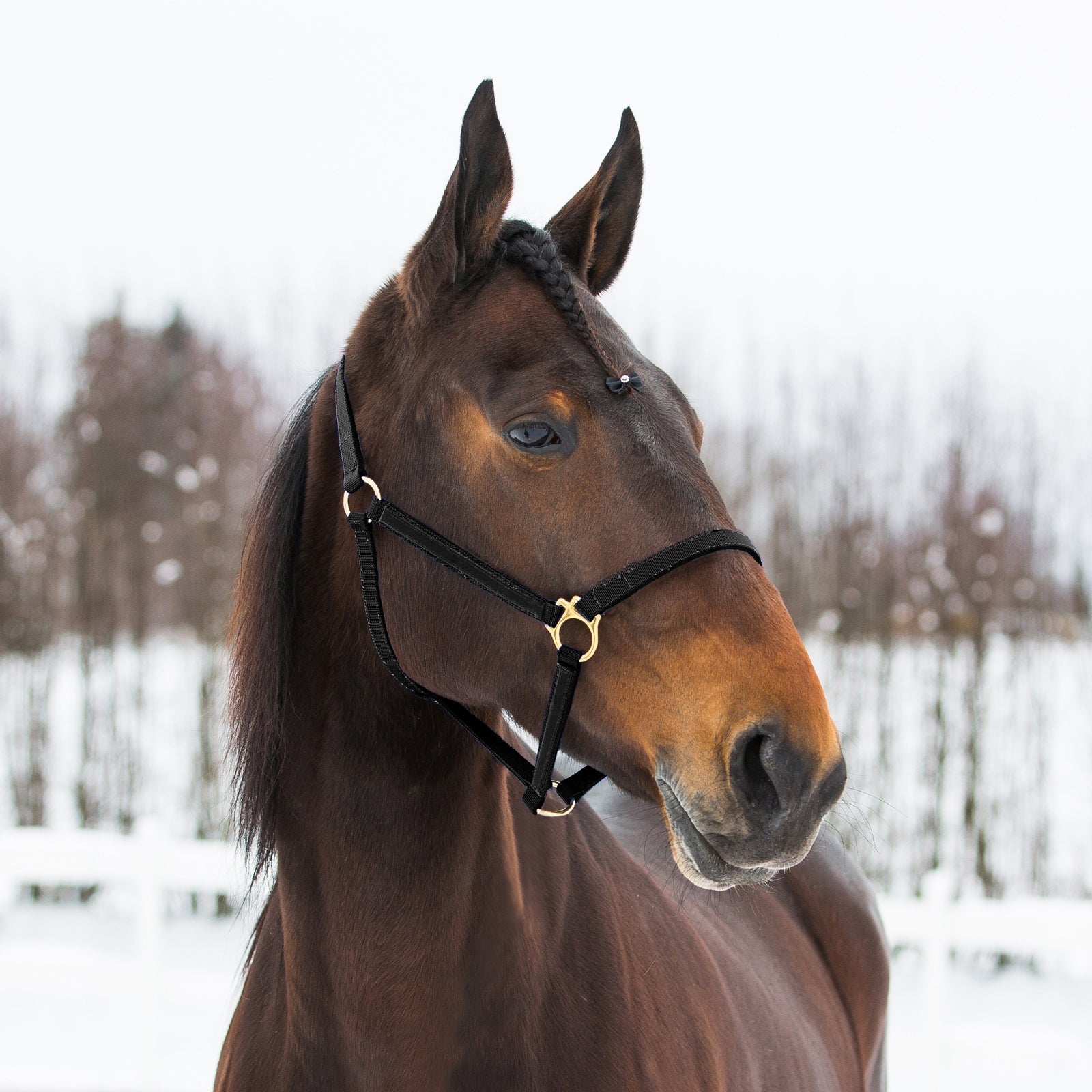 Finntack Pro syntetisk Yankee nylongrime Grimer og leietau