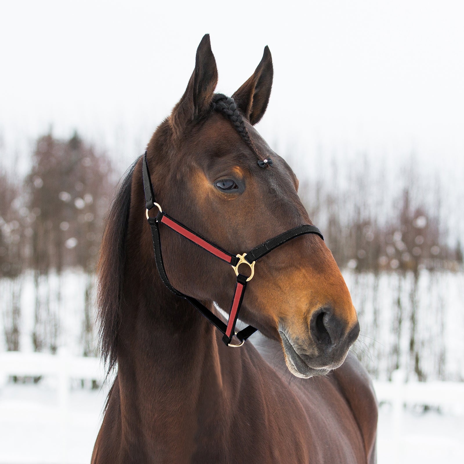 Finntack Pro syntetisk Yankee nylongrime Grimer og leietau