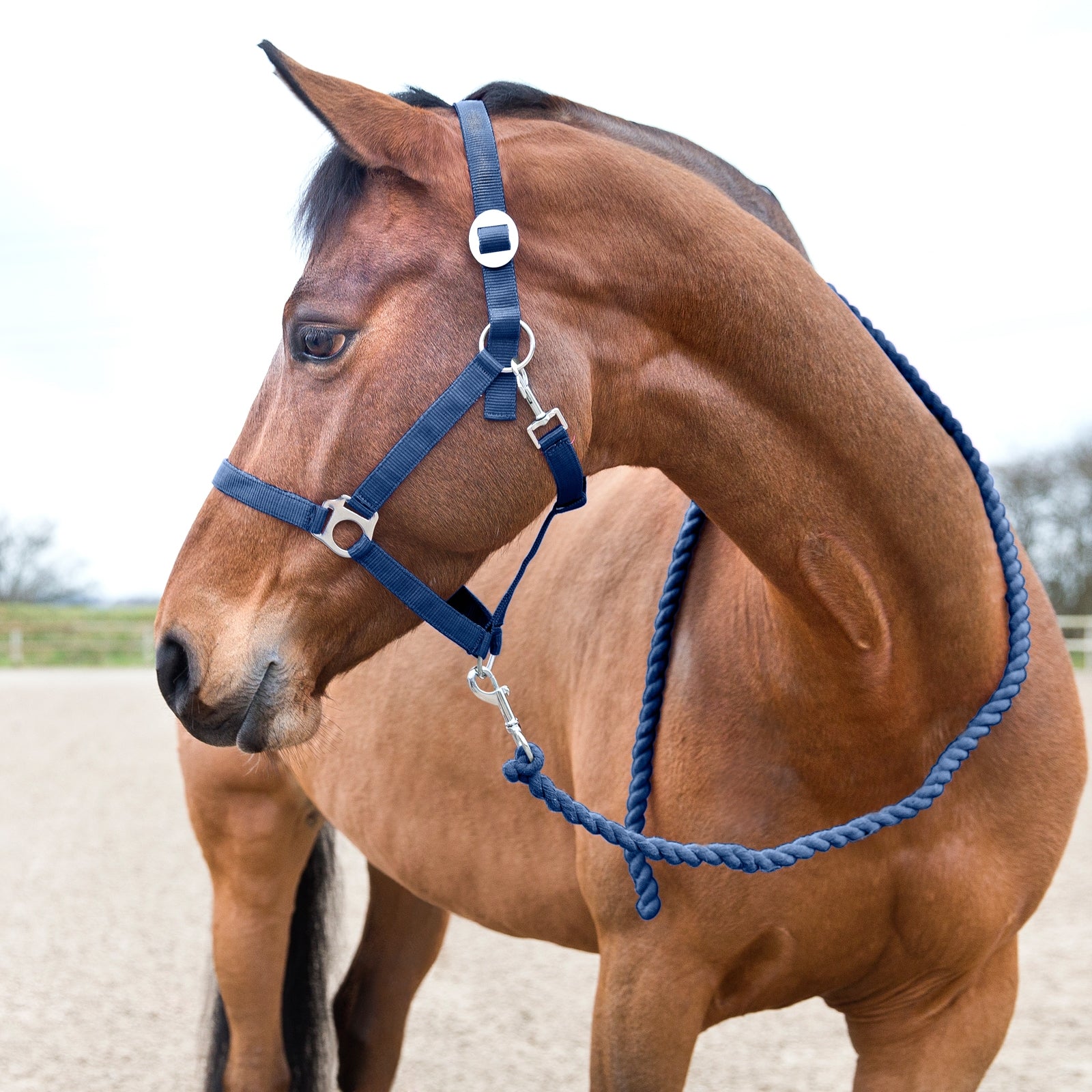 Horze Basic leietau Grimer og leietau