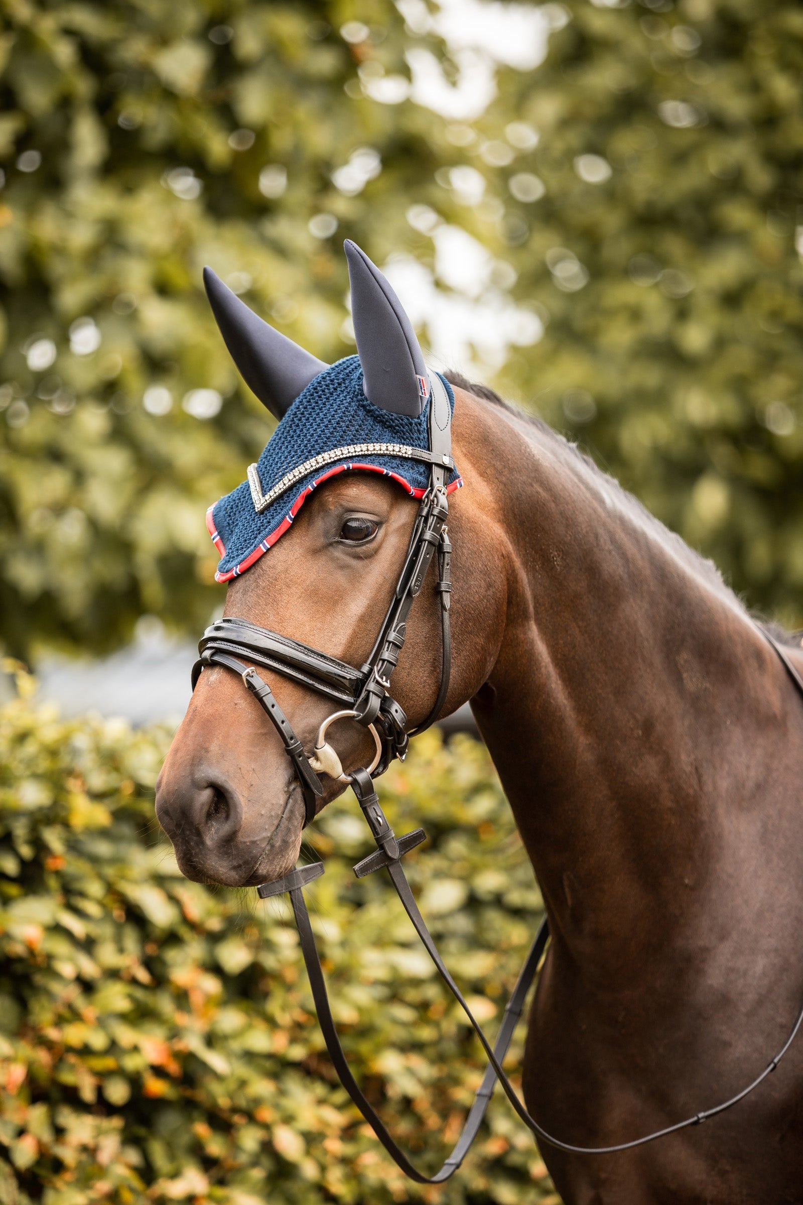 B Vertigo Amory Soundless Ear Net Saddle Pads
