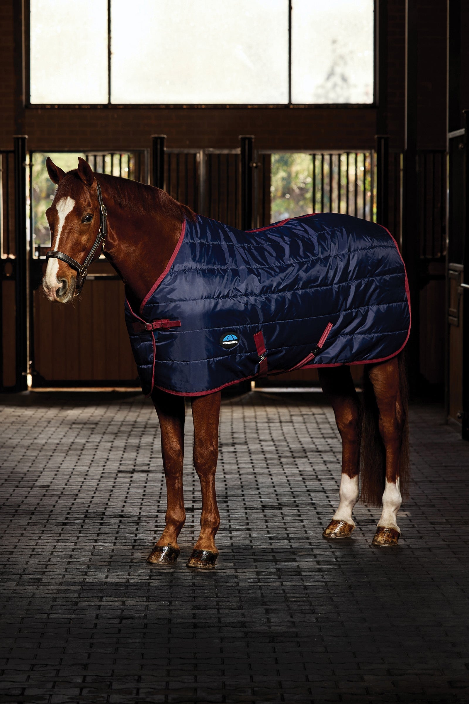 Weatherbeeta ComFiTec 210D Channel Quilt Stable Rug Standard Neck 220G Dekken