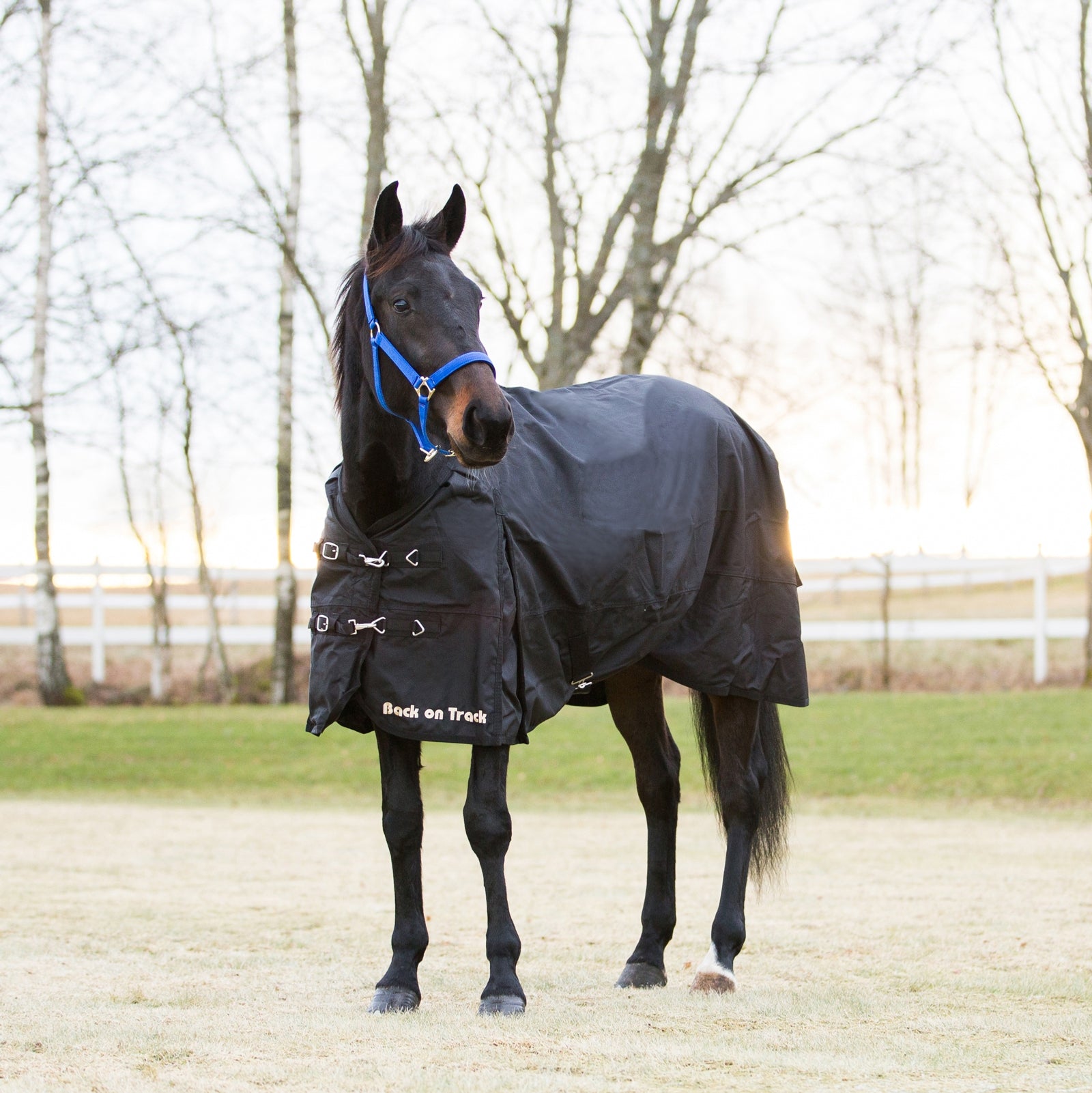 Back on Track Back On Track regndekken 1680D Dekken