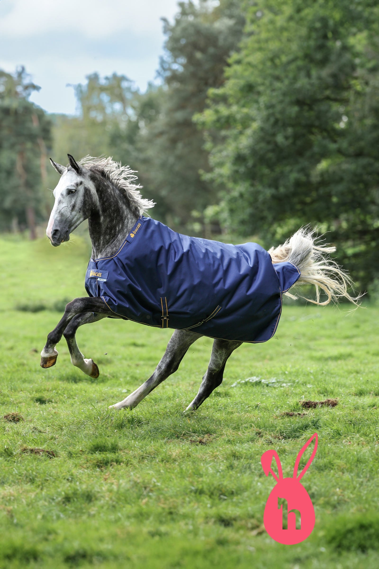 Bucas Irish utedekken, 50g Dekken