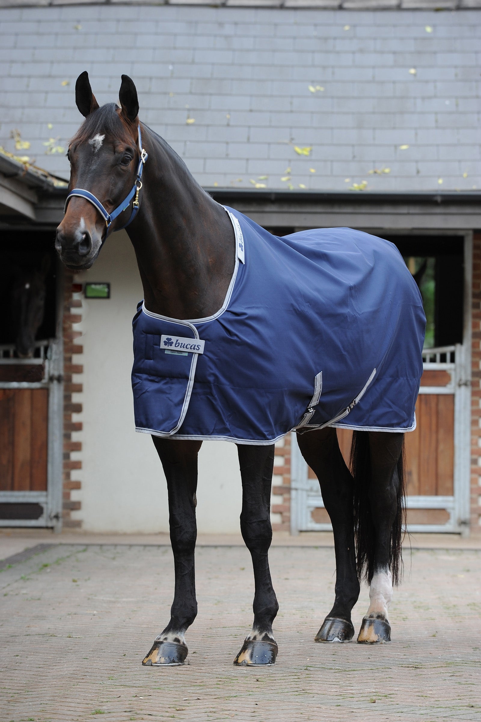 Bucas Celtic Stable Extra dekken Dekken