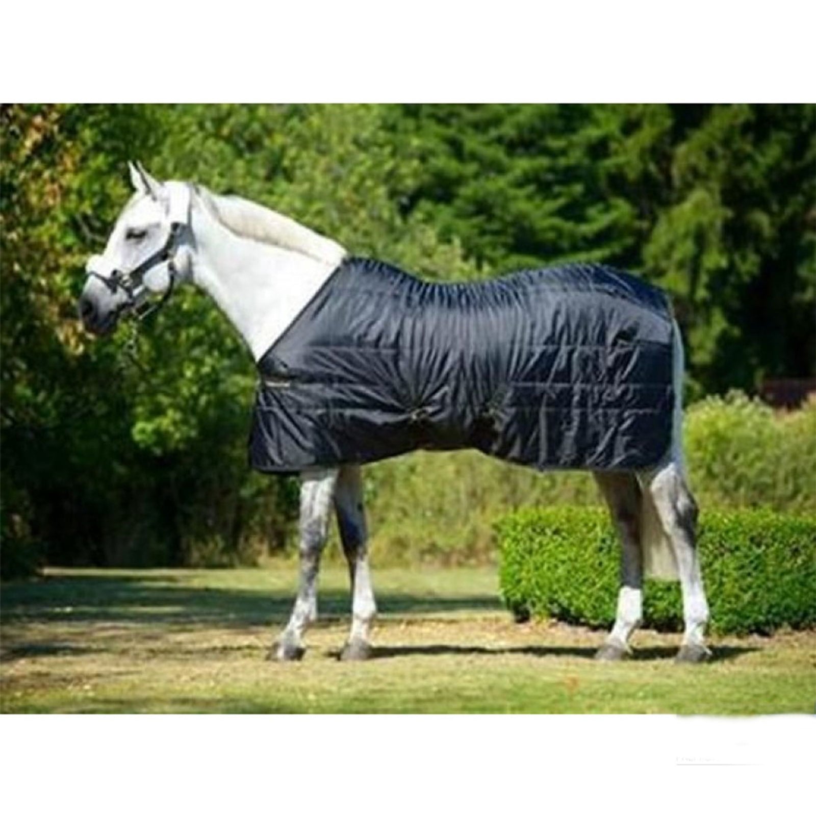 Back on Track Back On Track Rug Rime Mia, 160 g Horse Rugs