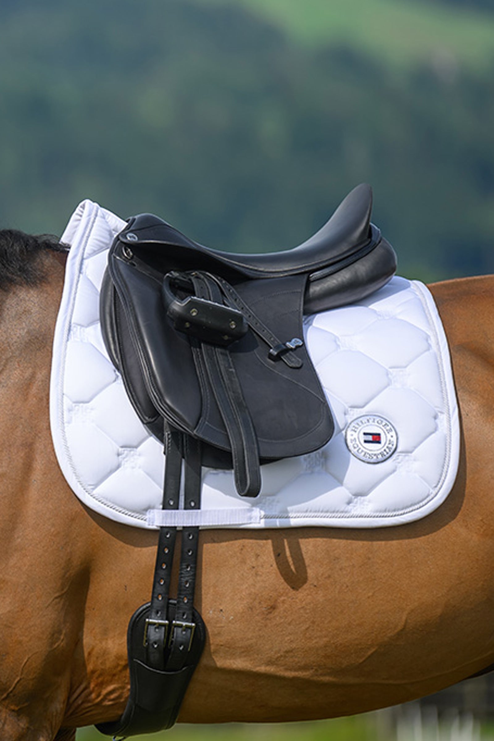 Tommy Hilfiger Equestrian Liberty dressursjabrak Sjabraker