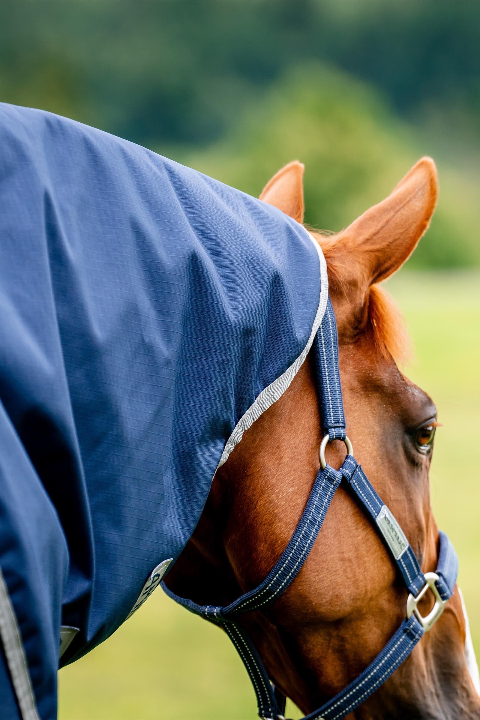 Horseware Amigo Ripstop 900D Plus Turnout Rug, 100 g Horse Rugs