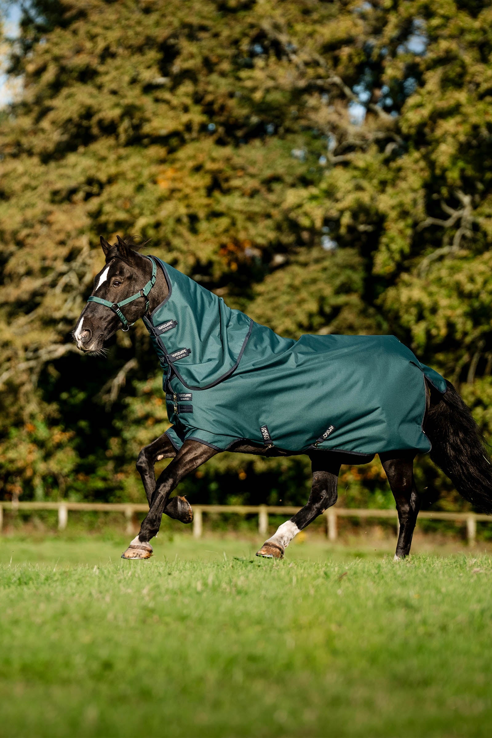 Horseware Amigo Ripstop 900D Plus Turnout Rug, 100 g Horse Rugs