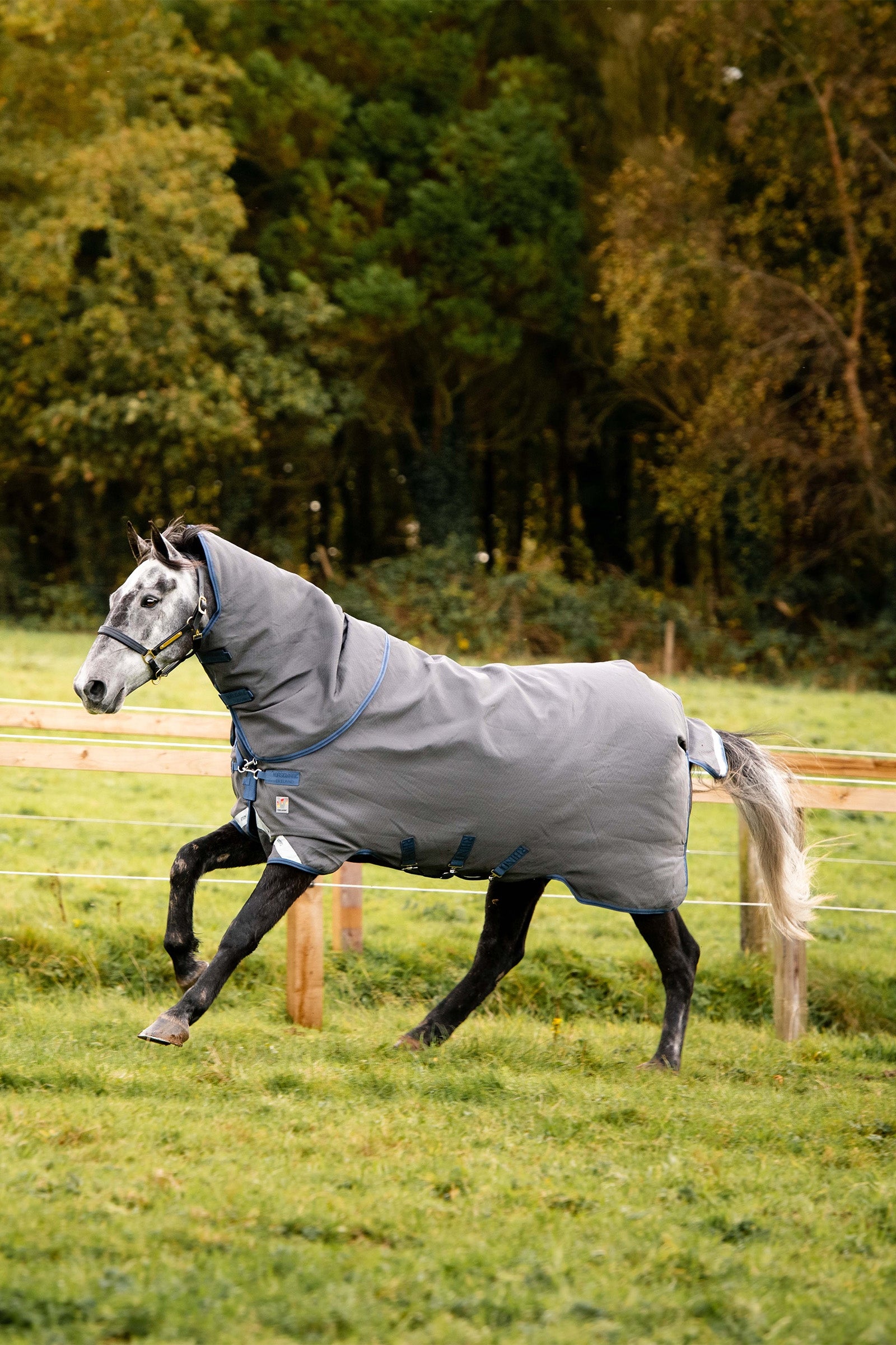 Horseware Rhino Plus HexSTOP Vari-Layer Beitedekken, 100g Dekken