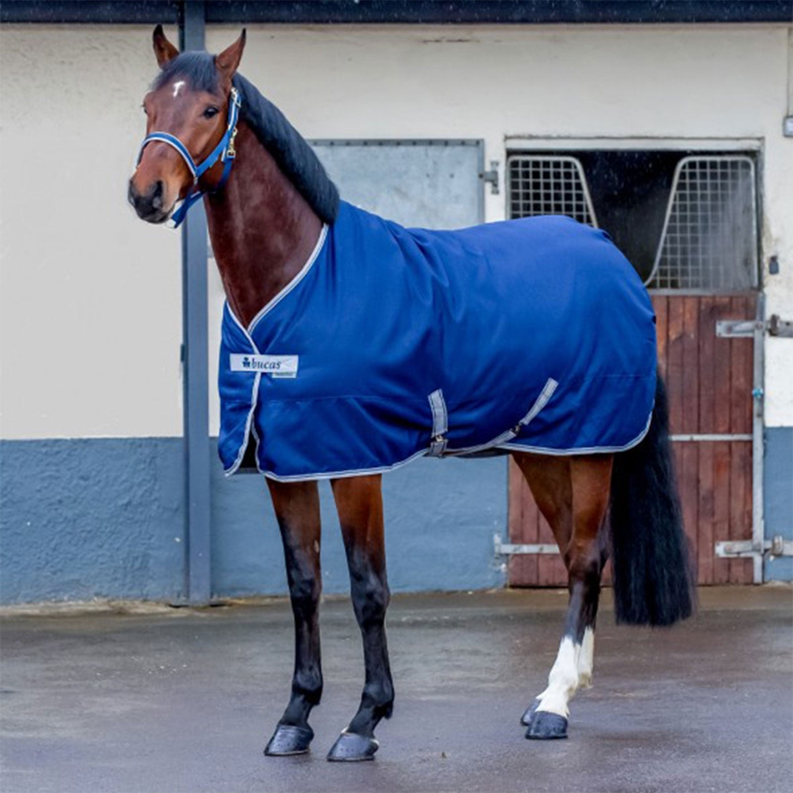 Bucas Freedom Stable 150 Horse Rugs