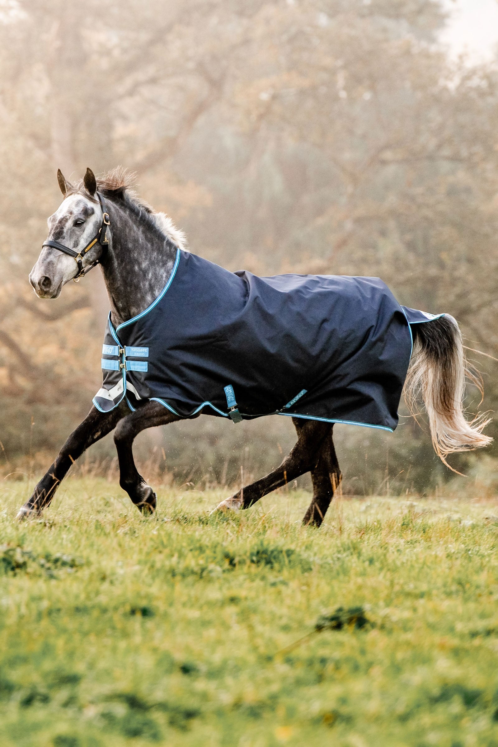 Horseware Amigo Bravo 12 utedekken, 100g Dekken