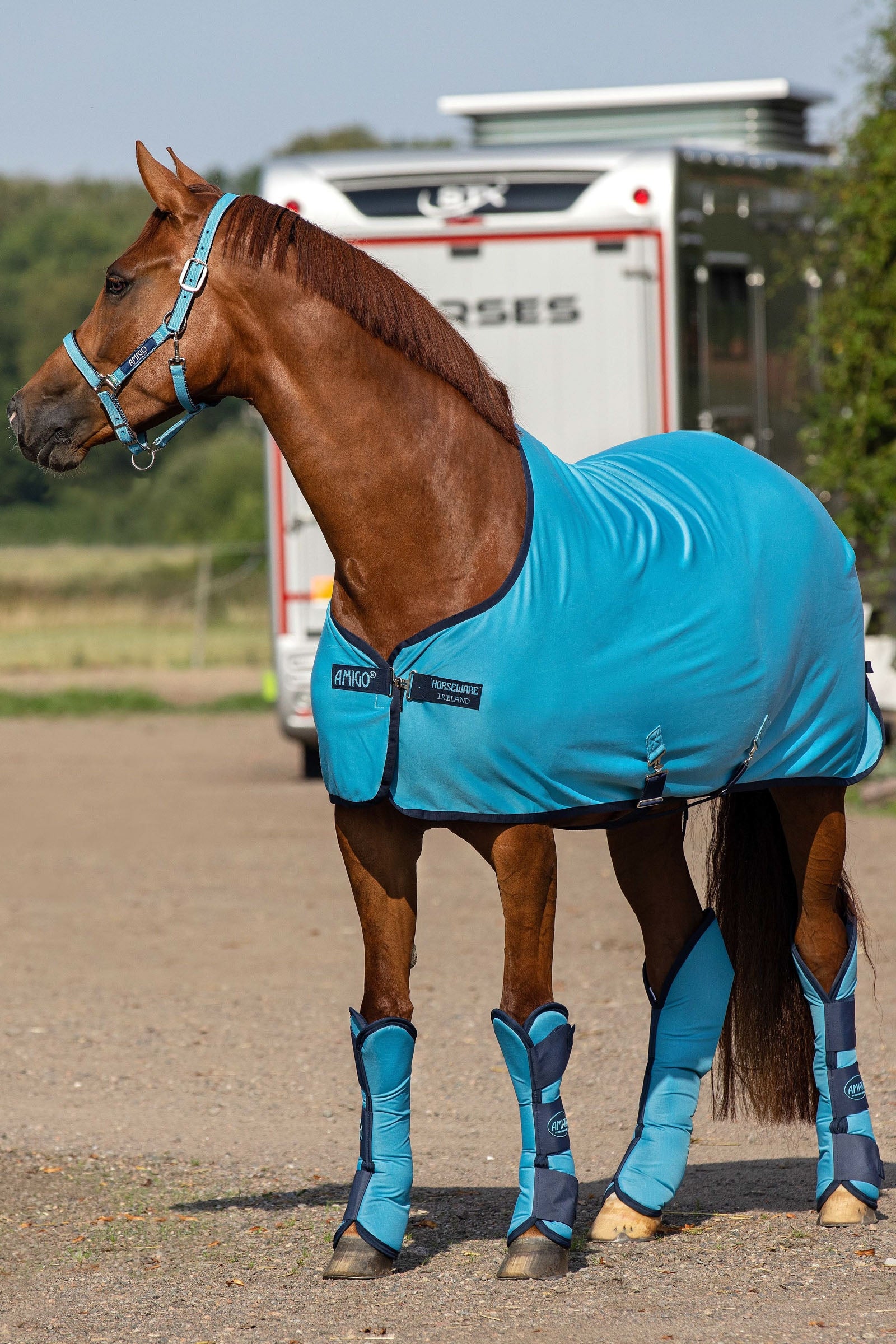 Horseware Amigo jersey svettedekken Dekken