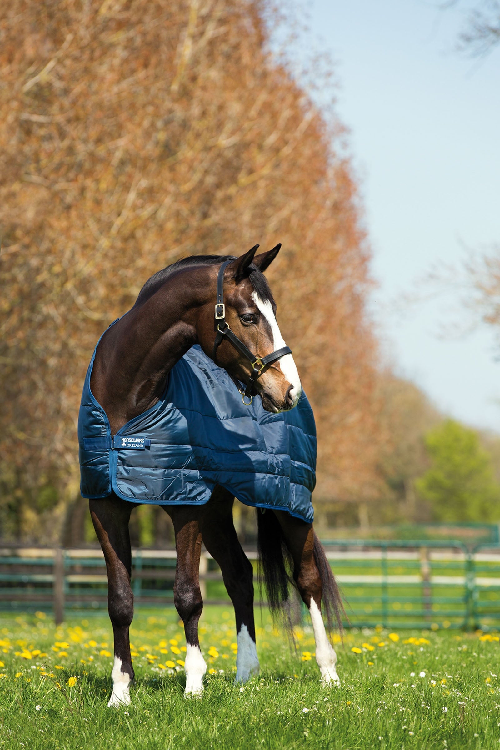Horseware Liner underteppe, 200 g Dekken