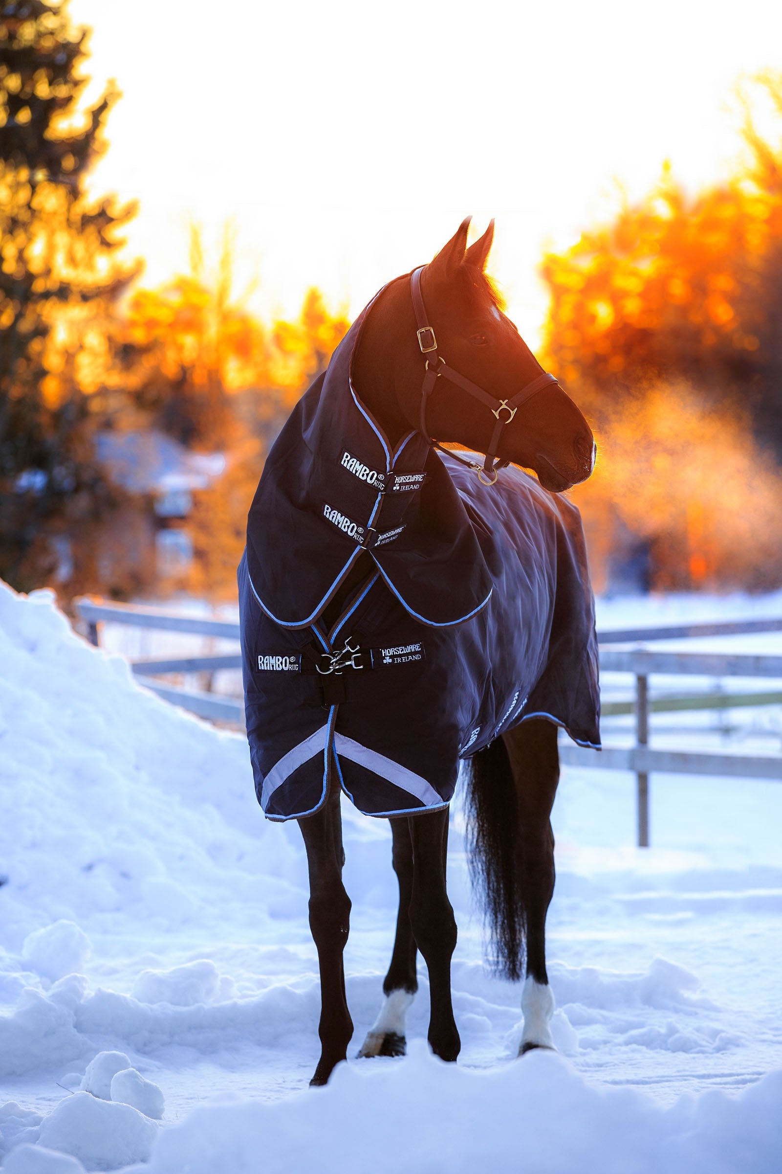 Horseware Rambo Duo dekken, 400g Dekken