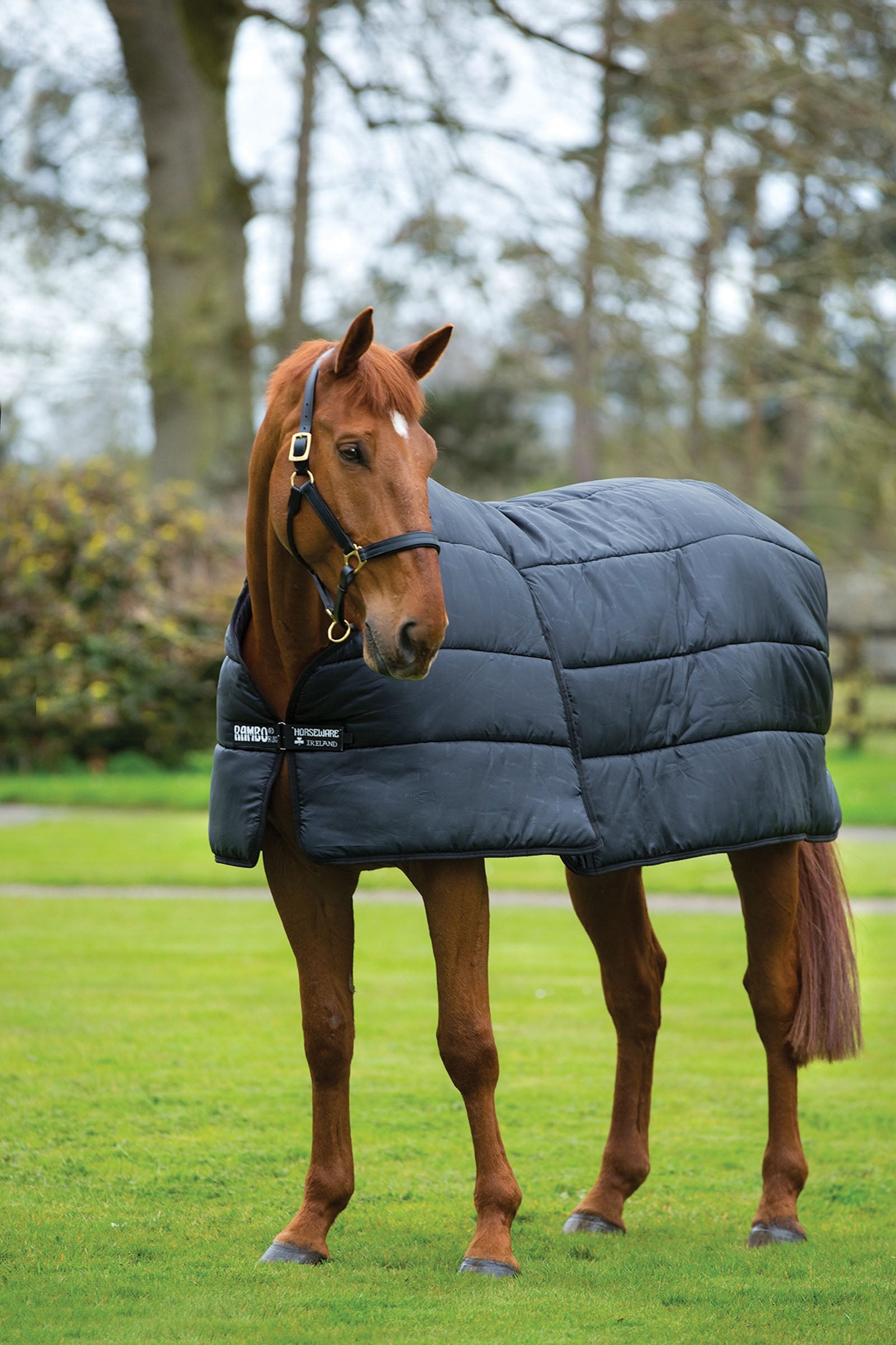 Horseware Rambo Optimo innerdekken 200g Dekken