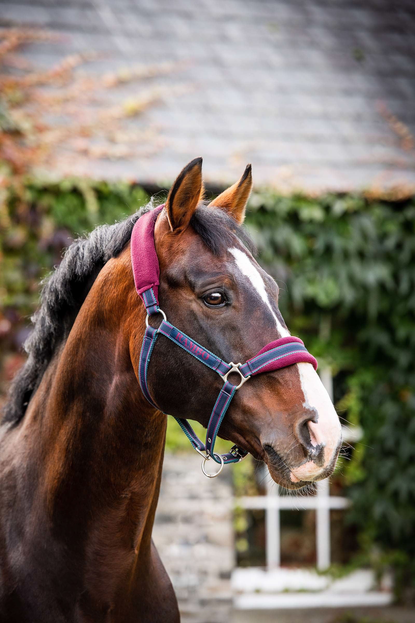 Horseware Rambo polstret grime Grimer og leietau